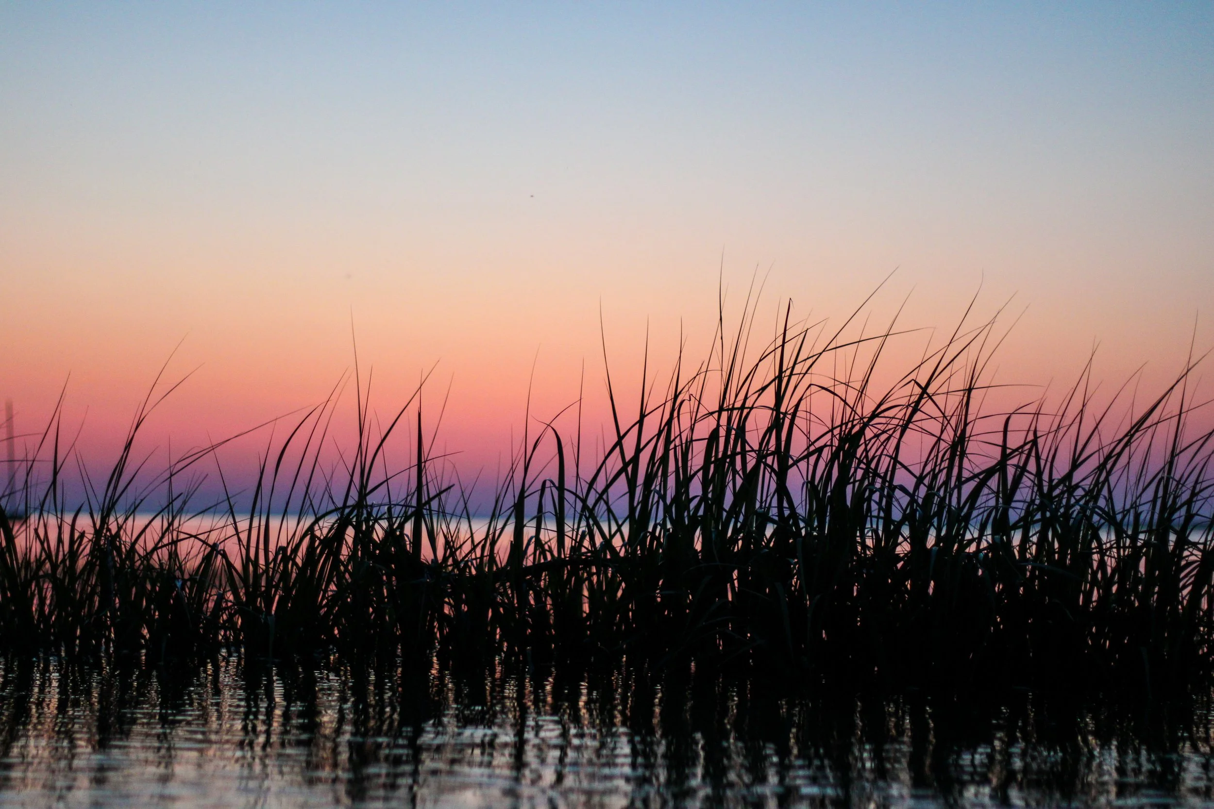 IMG_1567.jpg