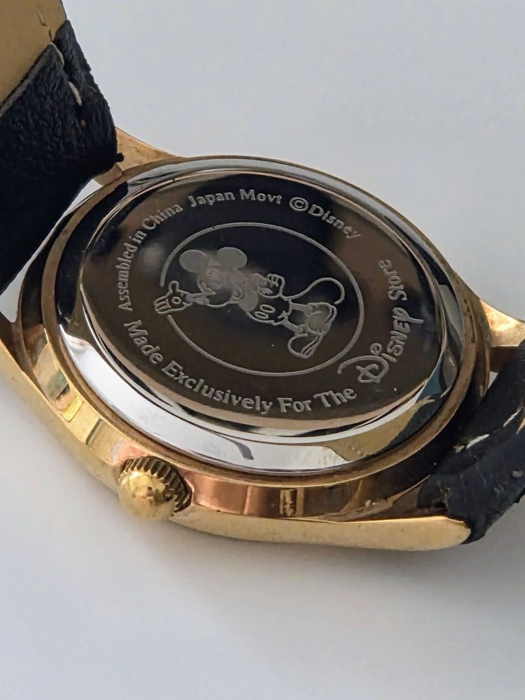 Disney Store Winnie the Pooh Caseback.jpg
