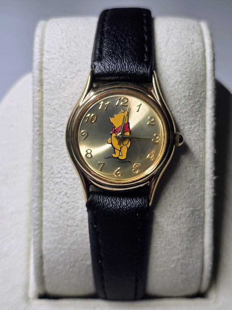 Disney Store Winnie the Pooh Front.jpg