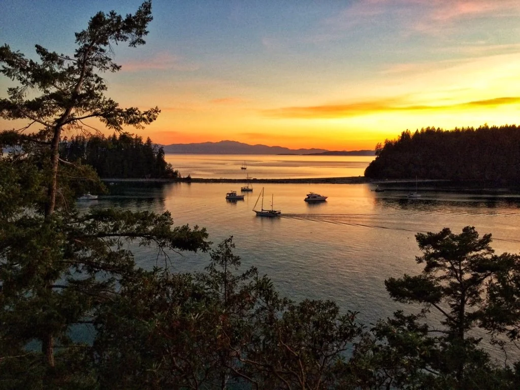 A serene sunset over a body of water, with boats floating and a tree in the foreground, and forested islands on the horizon.