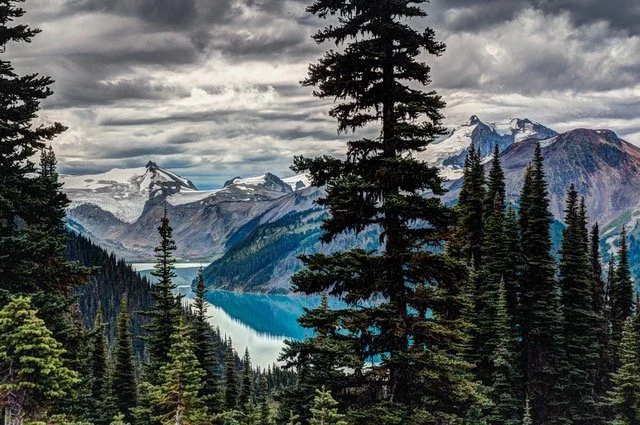A scenic view of a mountain landscape with dense evergreen trees, a lake, and snow-capped peaks under a cloudy sky.