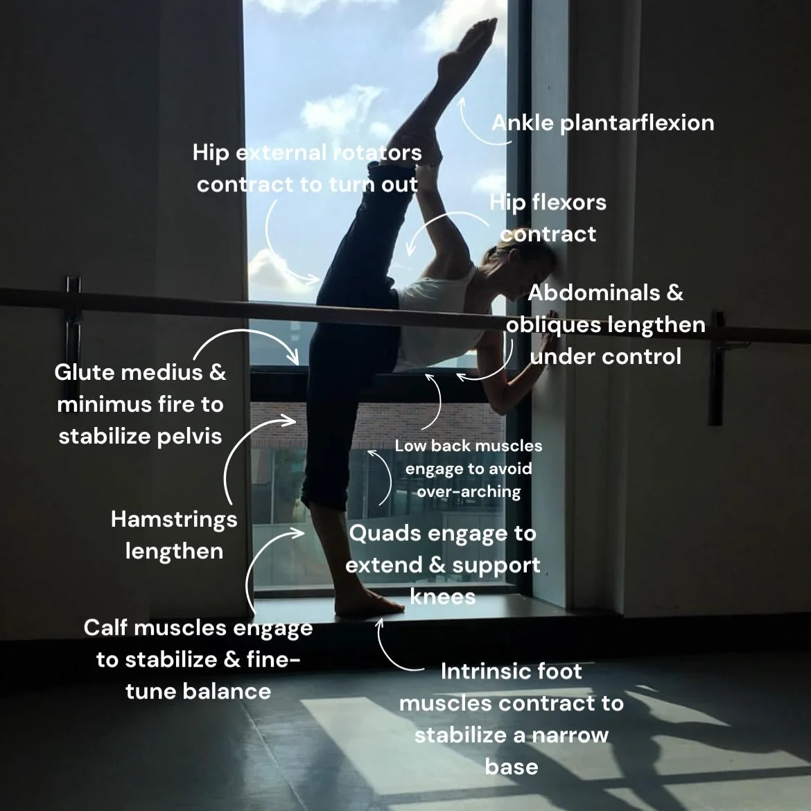 Tilts are a skill that are commonly taught in most technique classes, but not always broken down into their functional components. 

The more that dancers understand the why and how behind their movement, the better they will be able to execute their