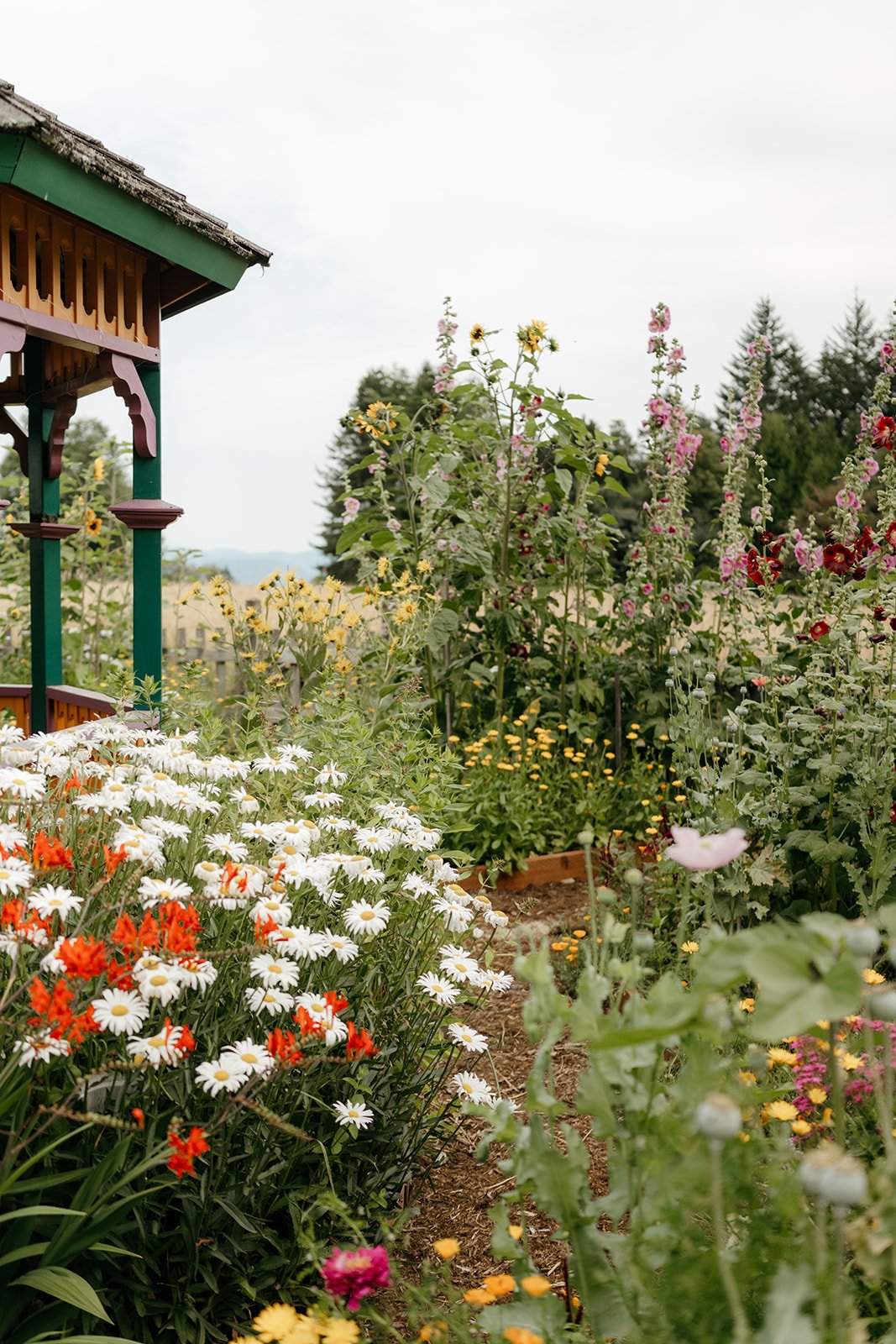 DSC_0898_websize.jpg
