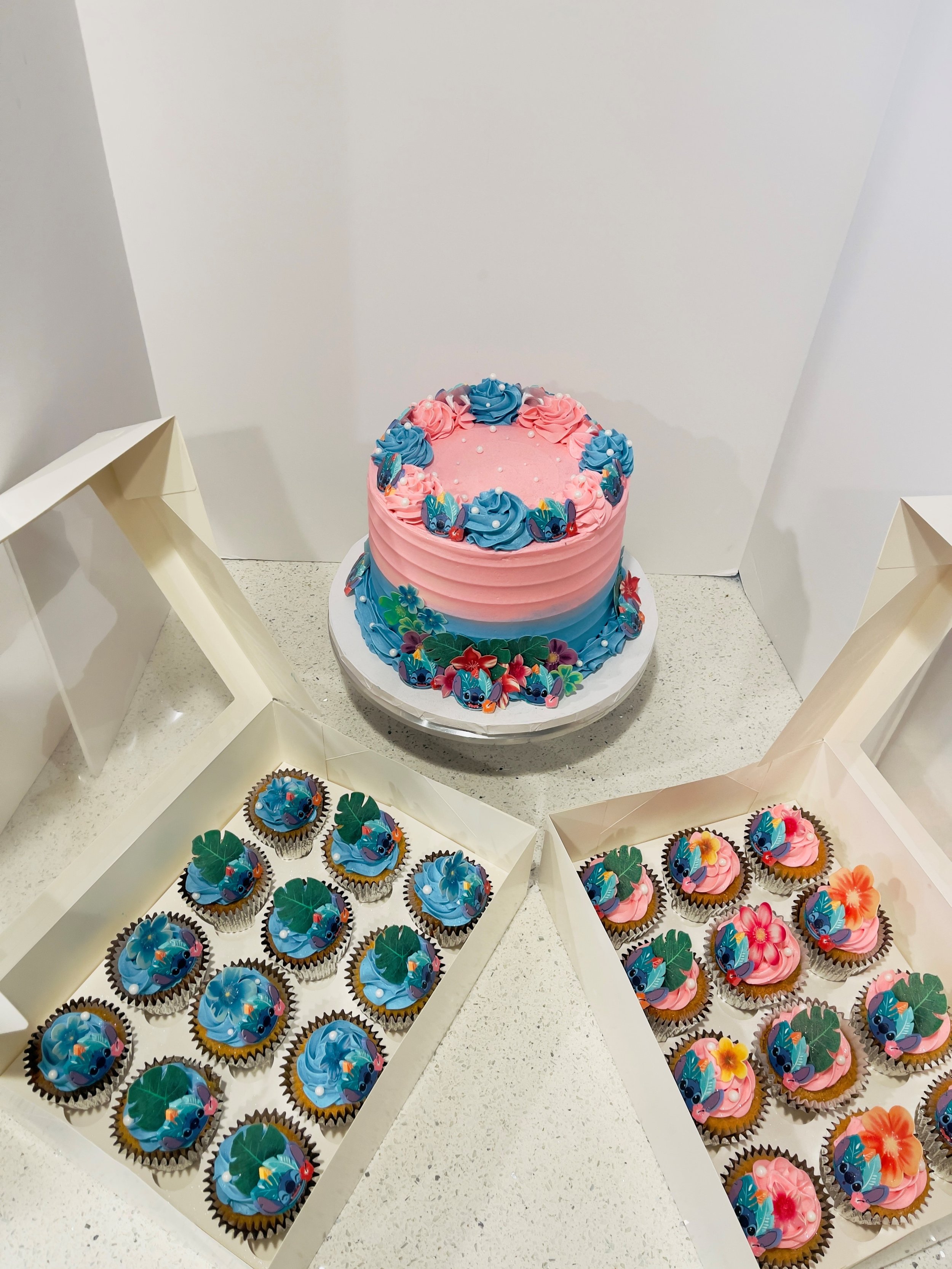 Cake & Cupcake Combo