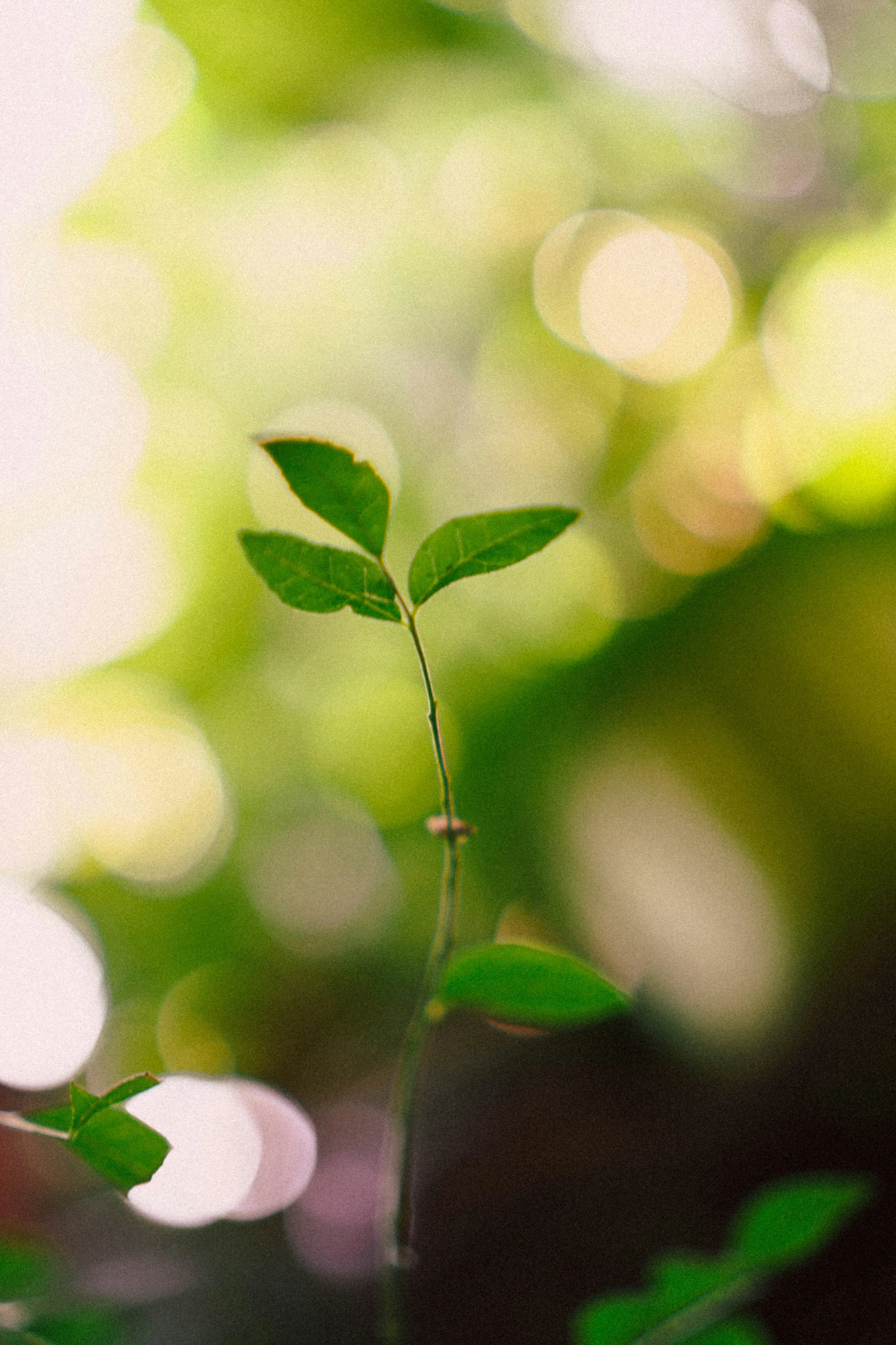 Helping Parts to Heal from Acute Trauma