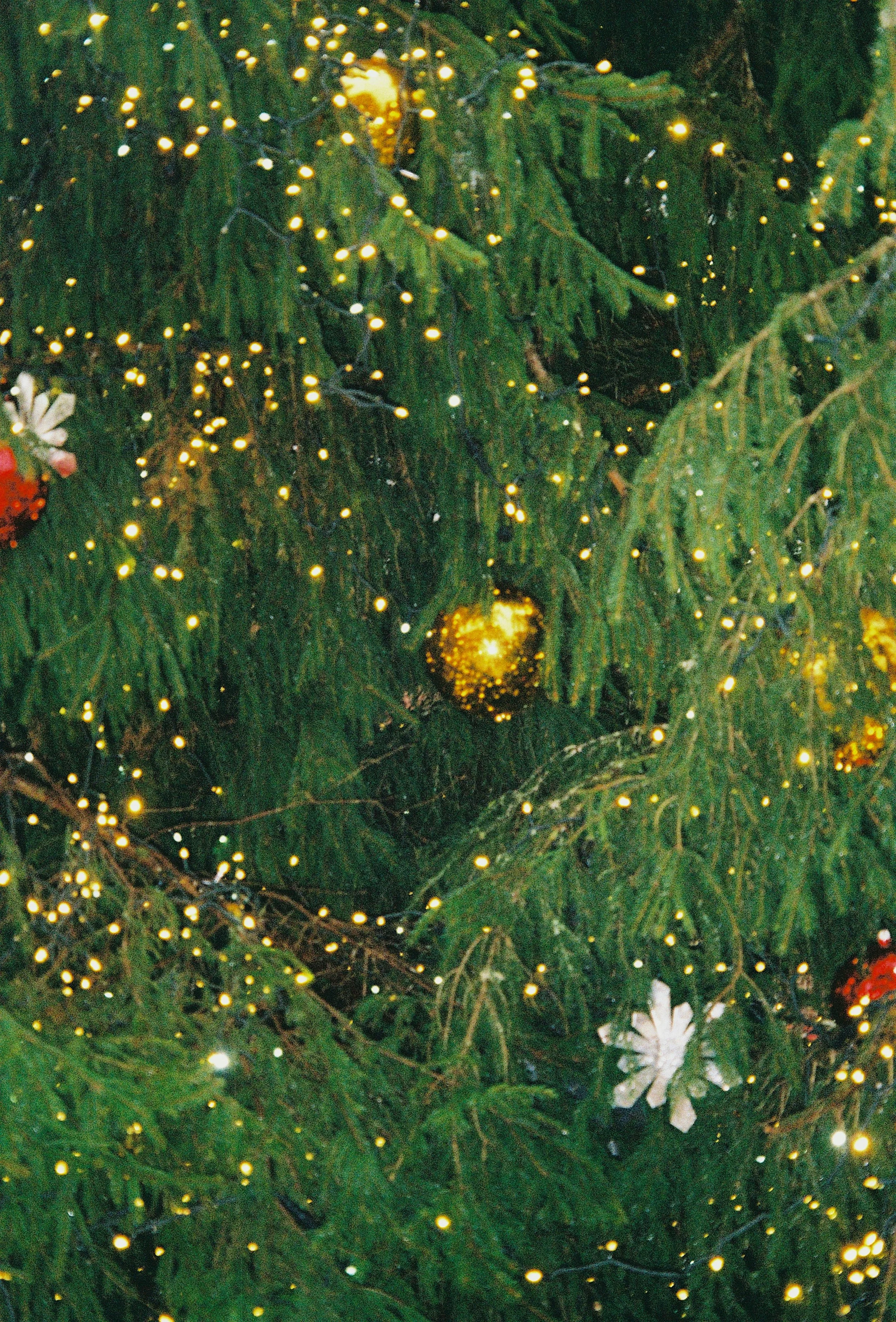 Attending to Grief Amidst the Holidays