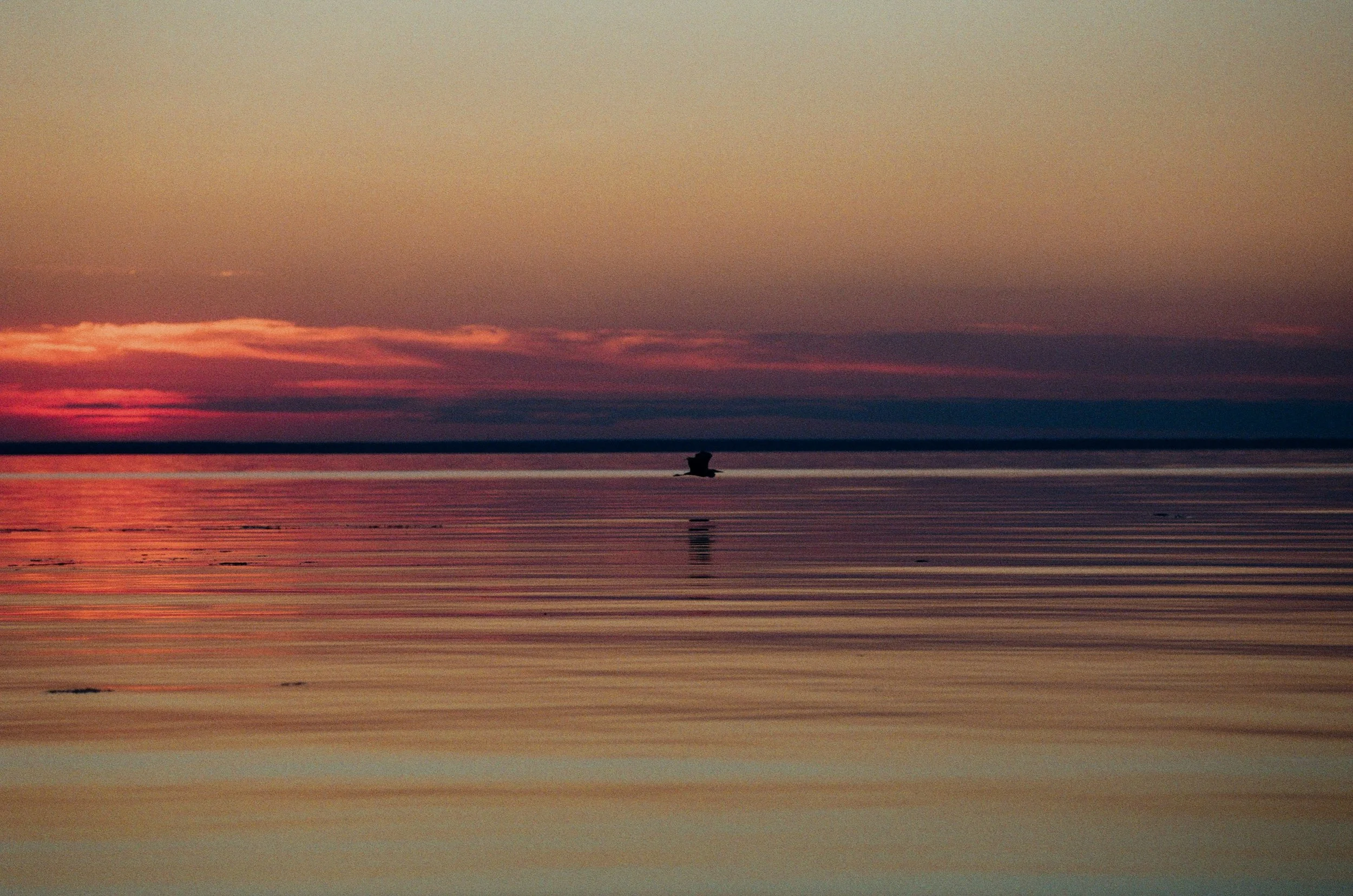 Horizon Lines: The Nature of Change in our Lives