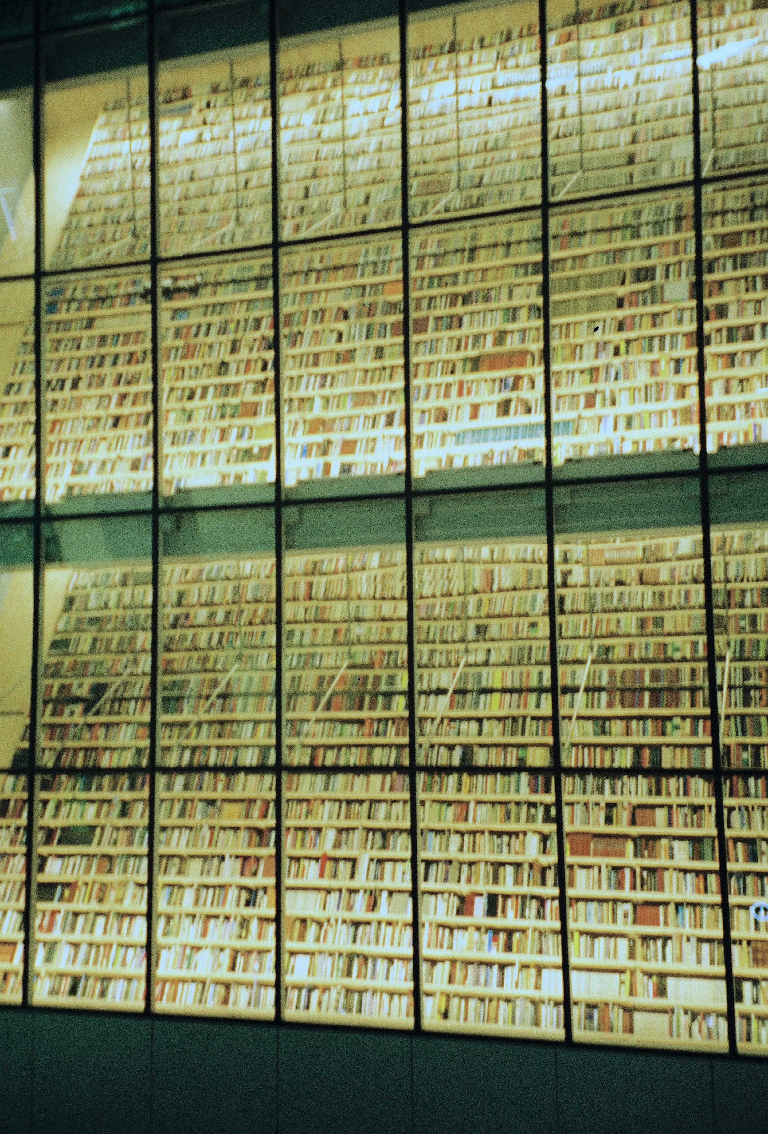 A large, multi-panel window displaying a high-rise building facade covered in numerous bookshelves filled with books.