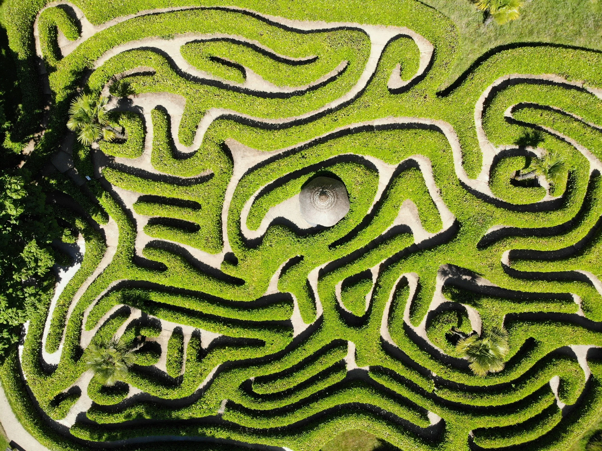 A top-down view of a lush green hedge maze with winding paths and a small fountain at the center.