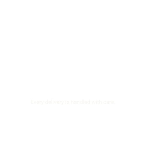 Icon of a person in a suit and tie with the word 'PROFESSIONALISM' below, and the phrase 'Every delivery is handled with care' underneath.