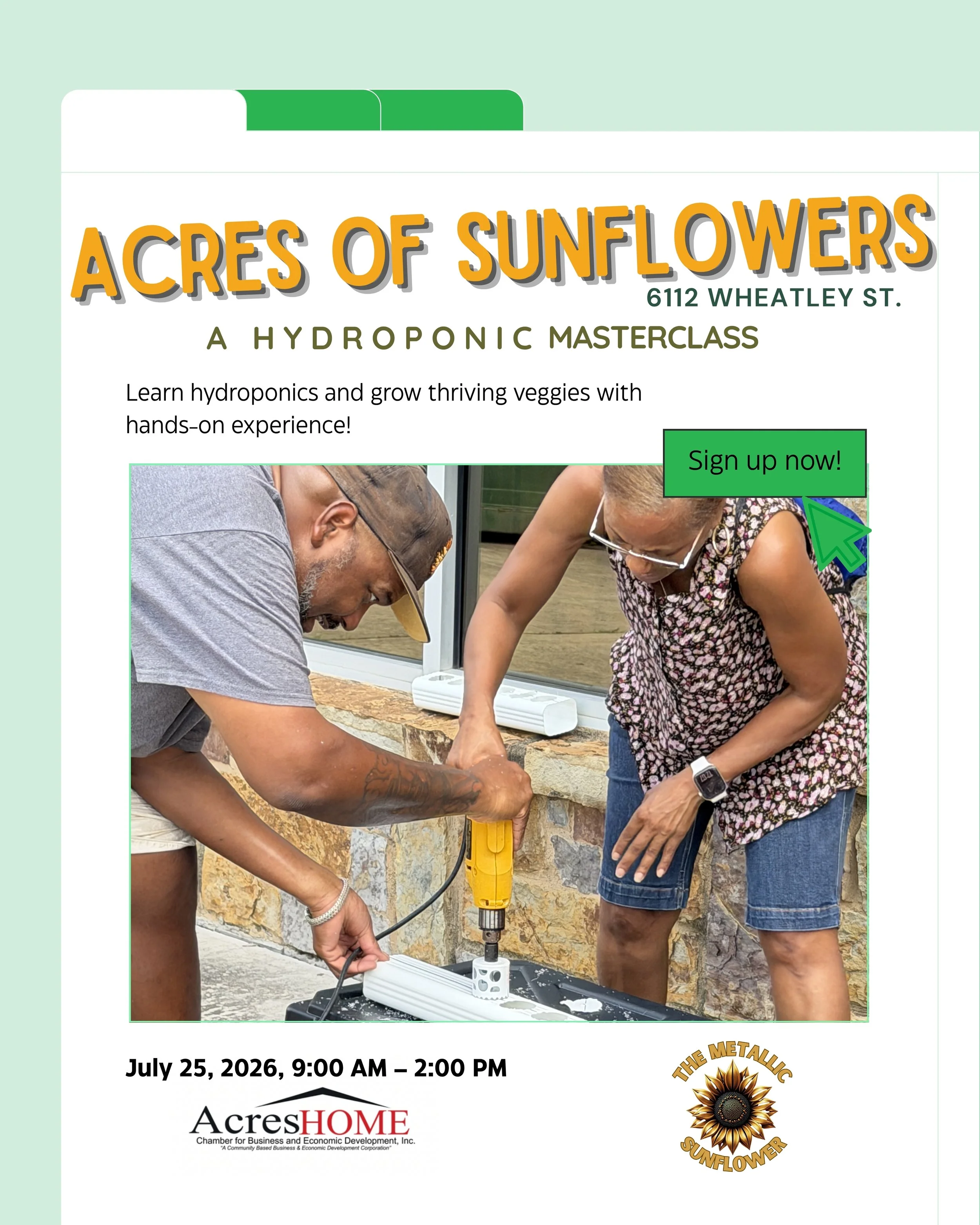 Acres Of Sunflowers Class