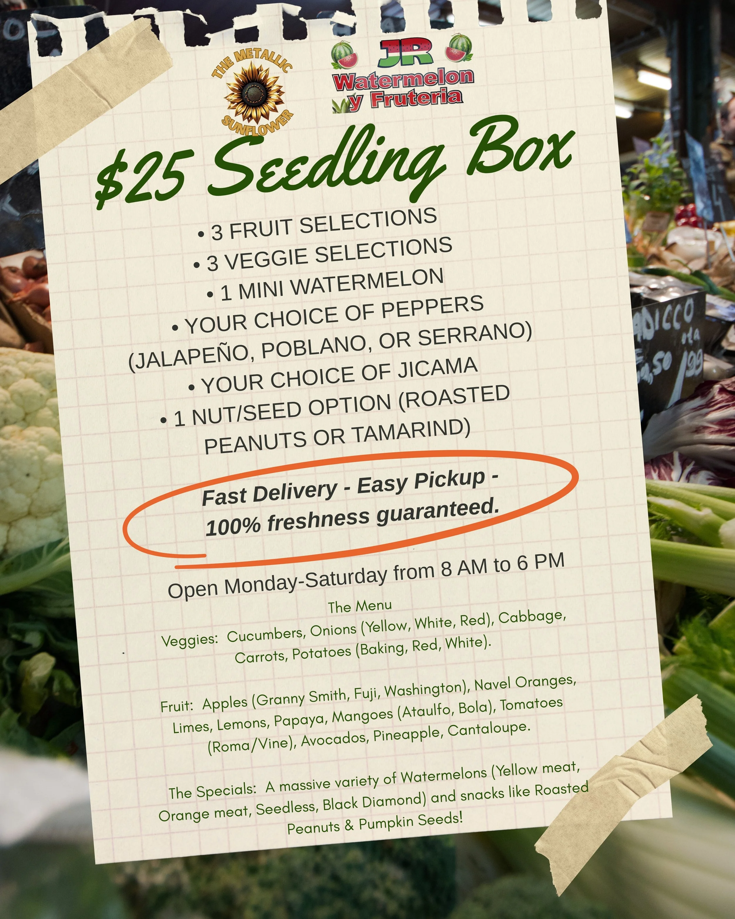 $25 Seedling Box