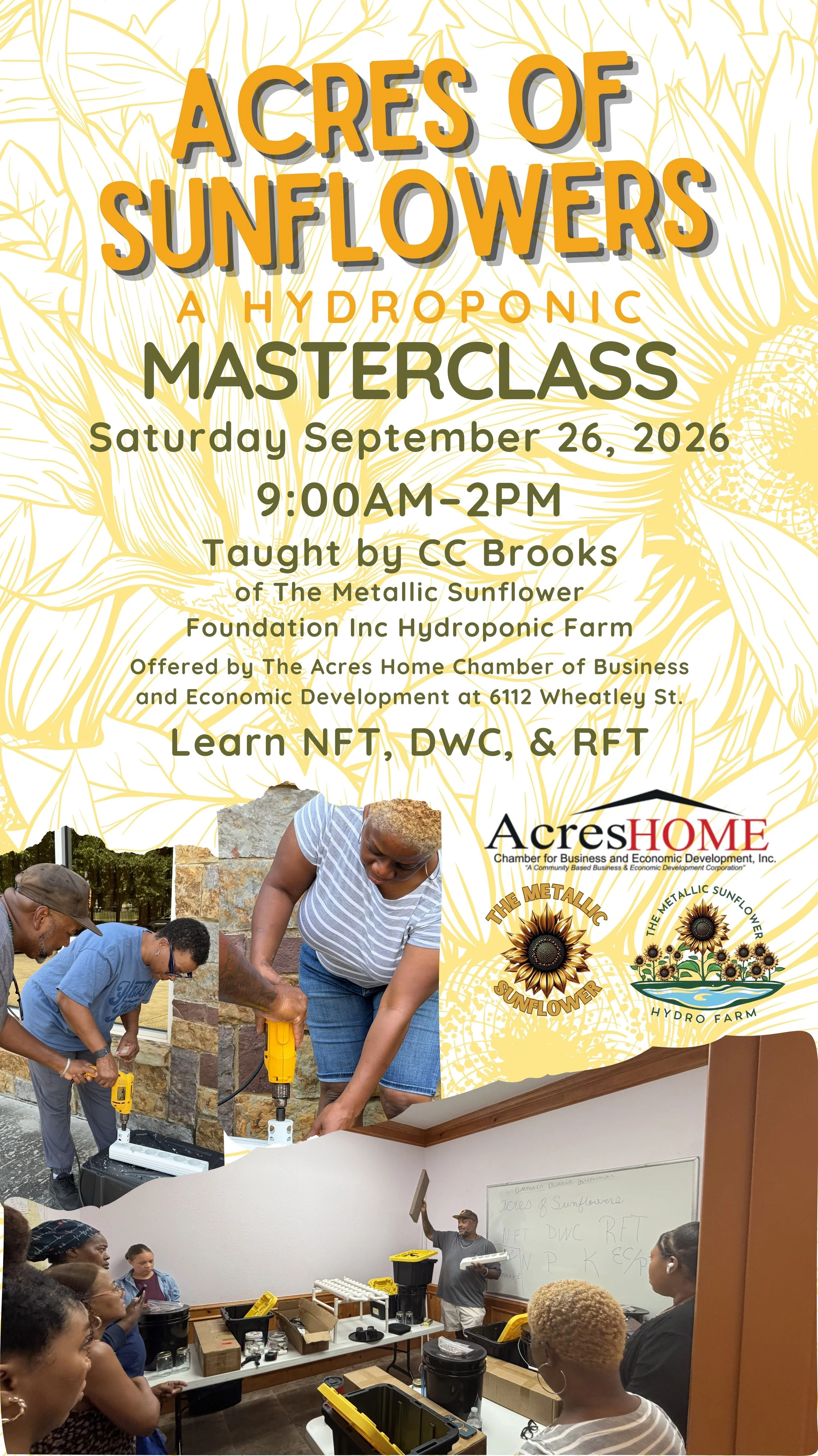 Acres Of Sunflowers Class