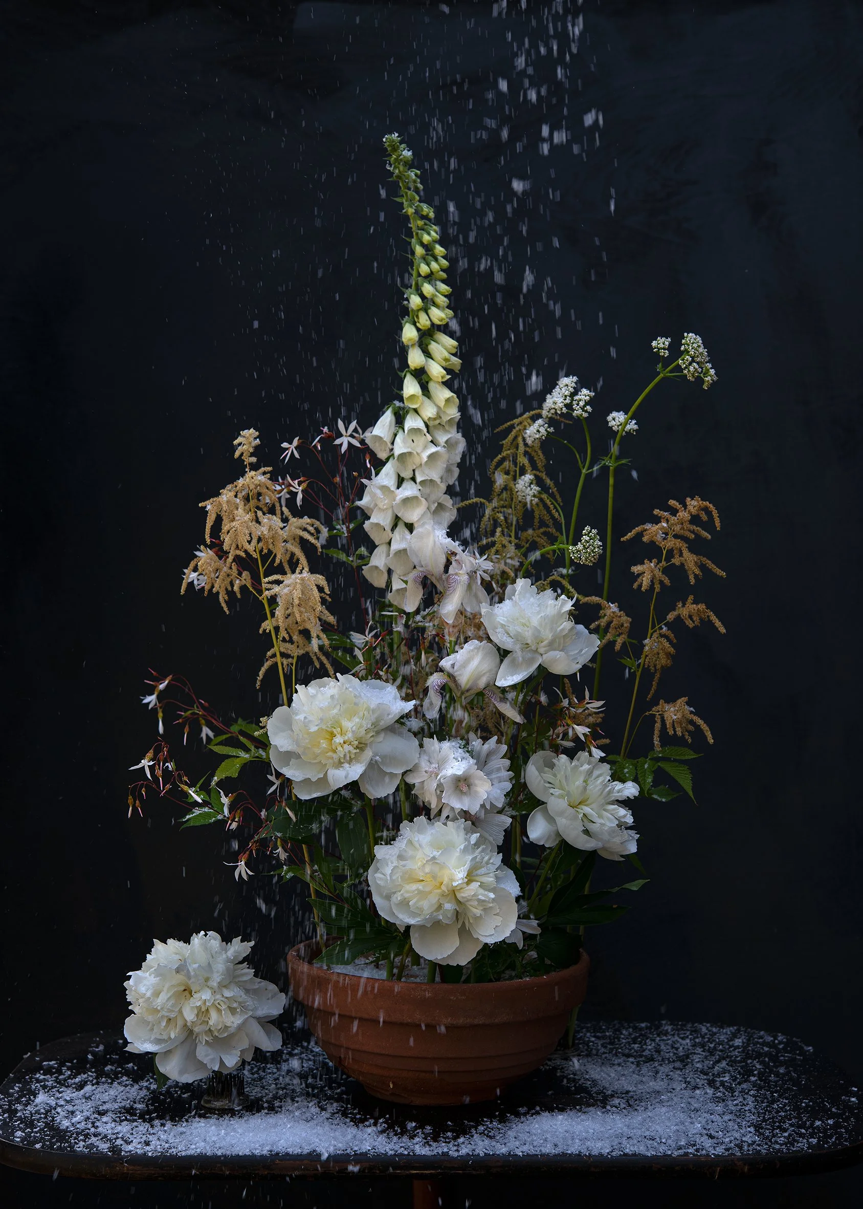 Summer Flowers in Plastic Rain, 2023