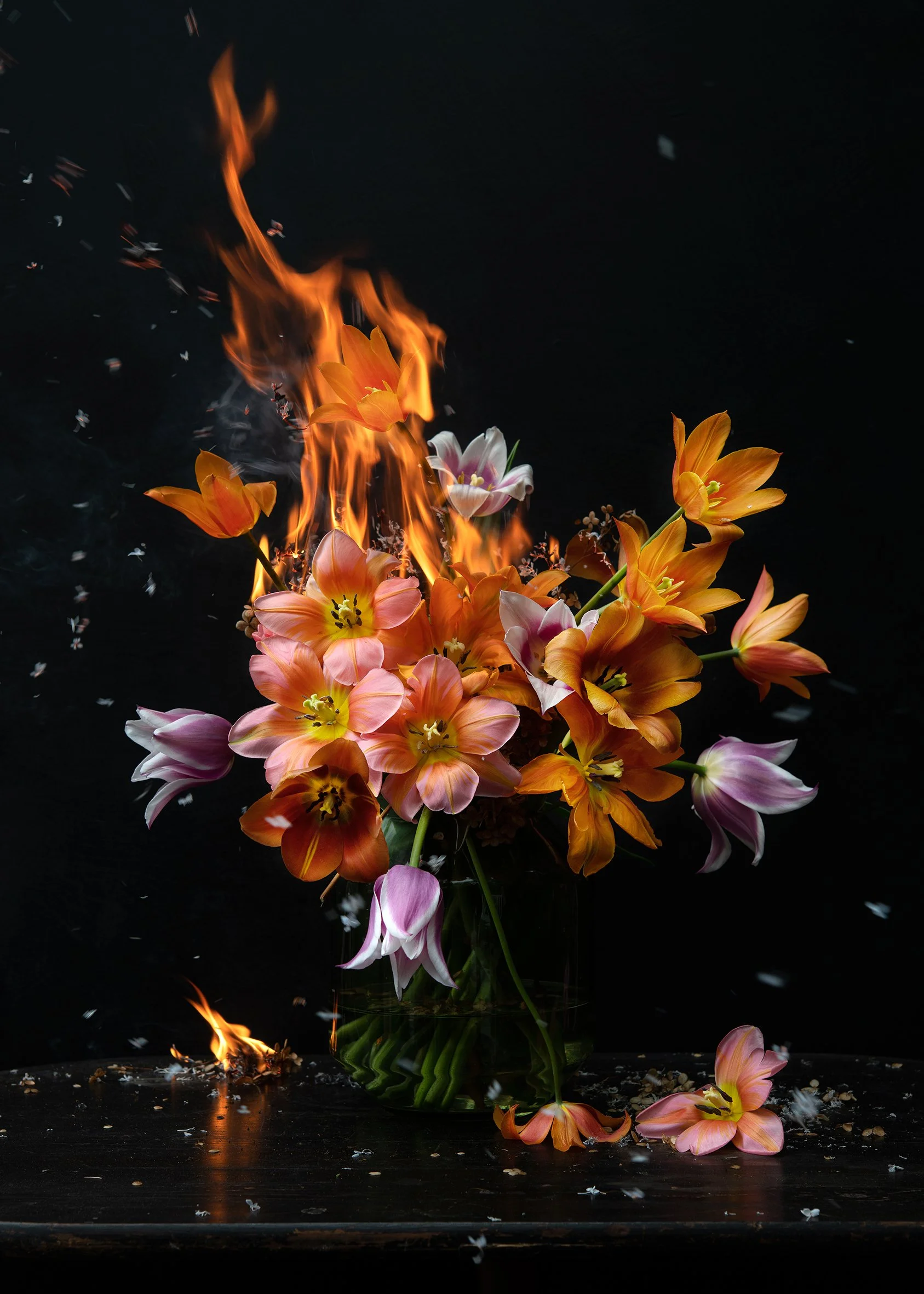 Tulips on Fire, 2023