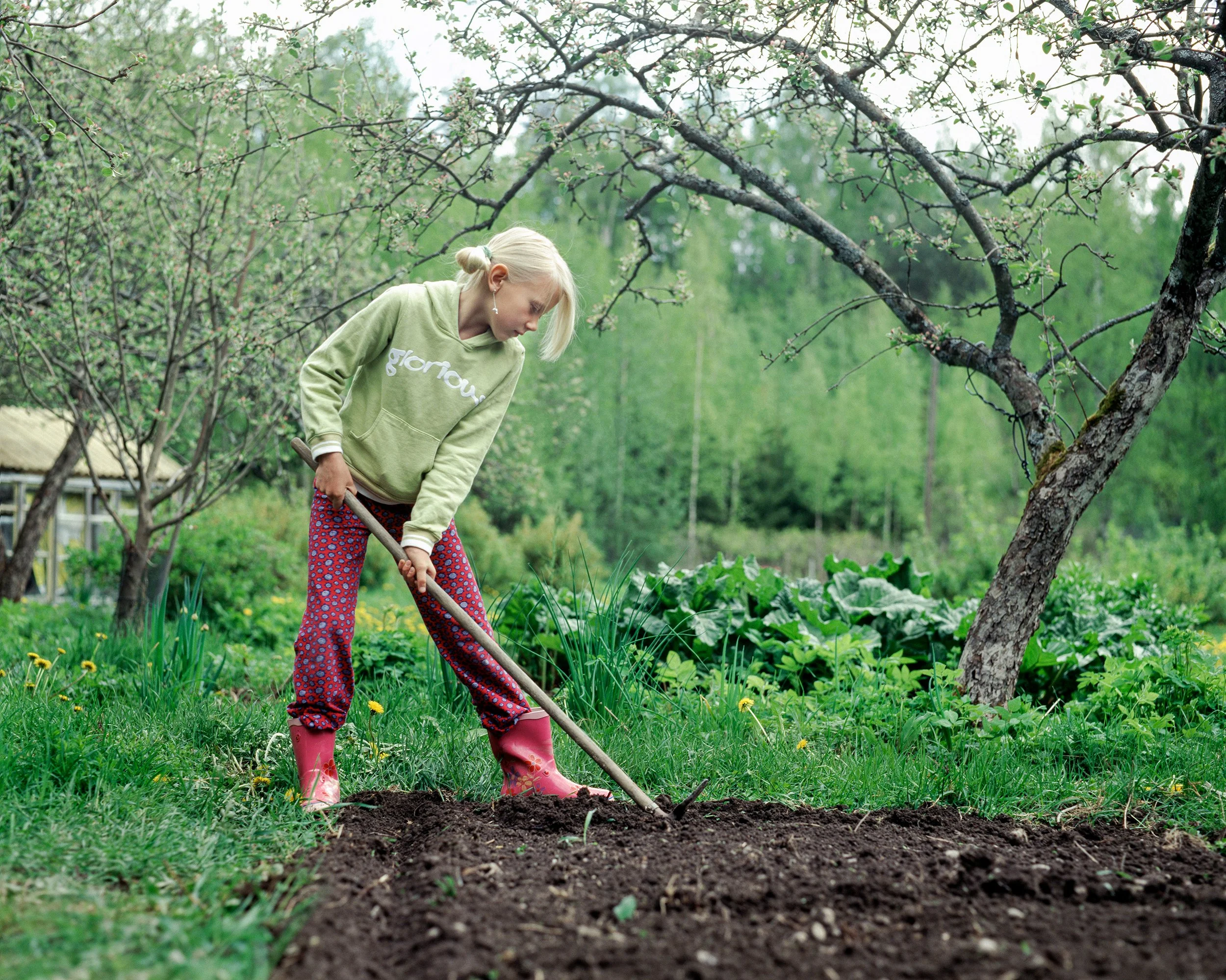 Ritva Tuomi. Kevätkylvö. 2007. Analogue photograph.