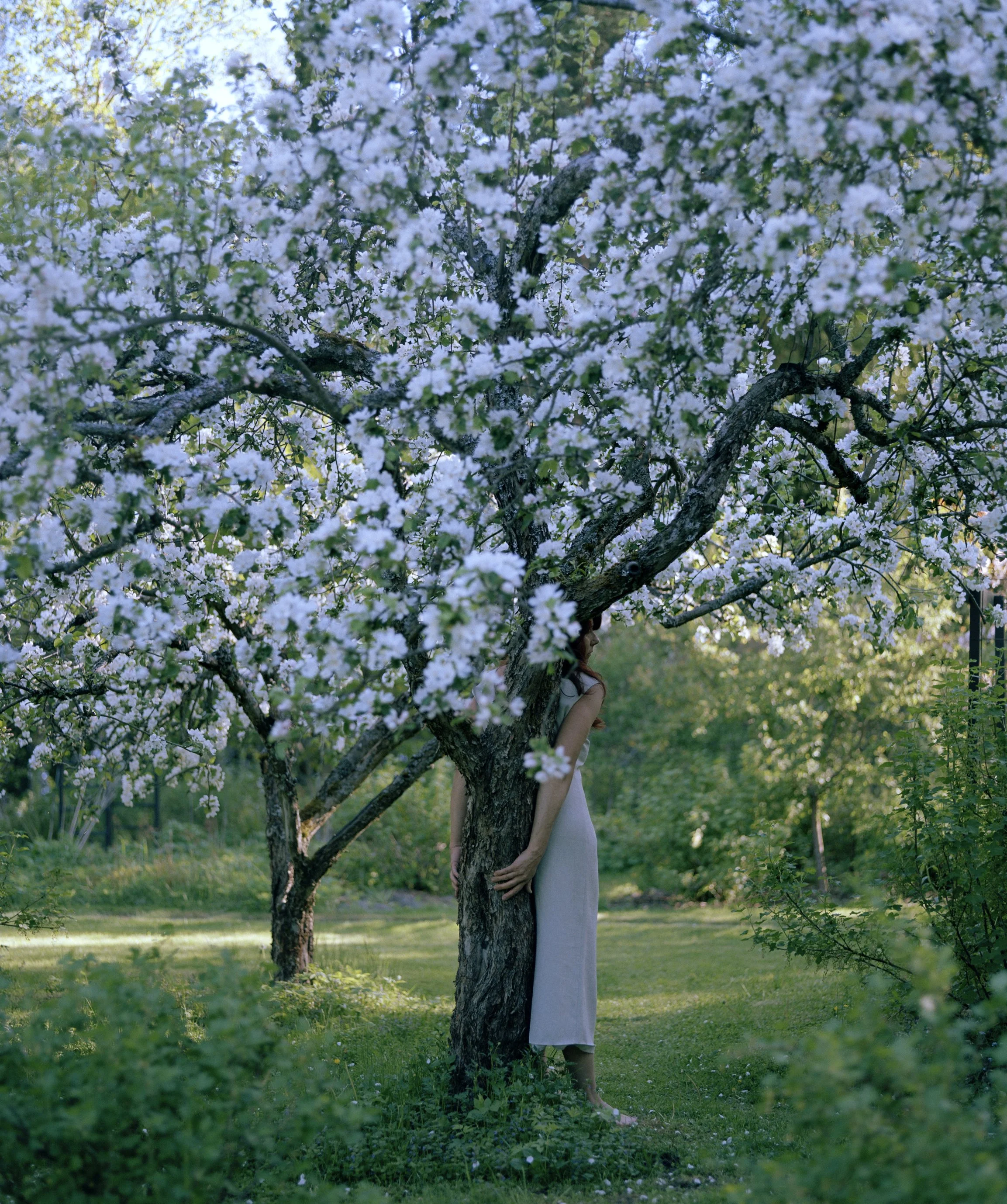 Halaus, 2020
Analogue photograph.