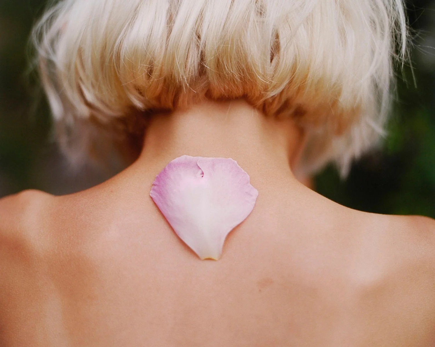 Lumi ja pionin terälehti (2004) (Lumi and peony petal)
