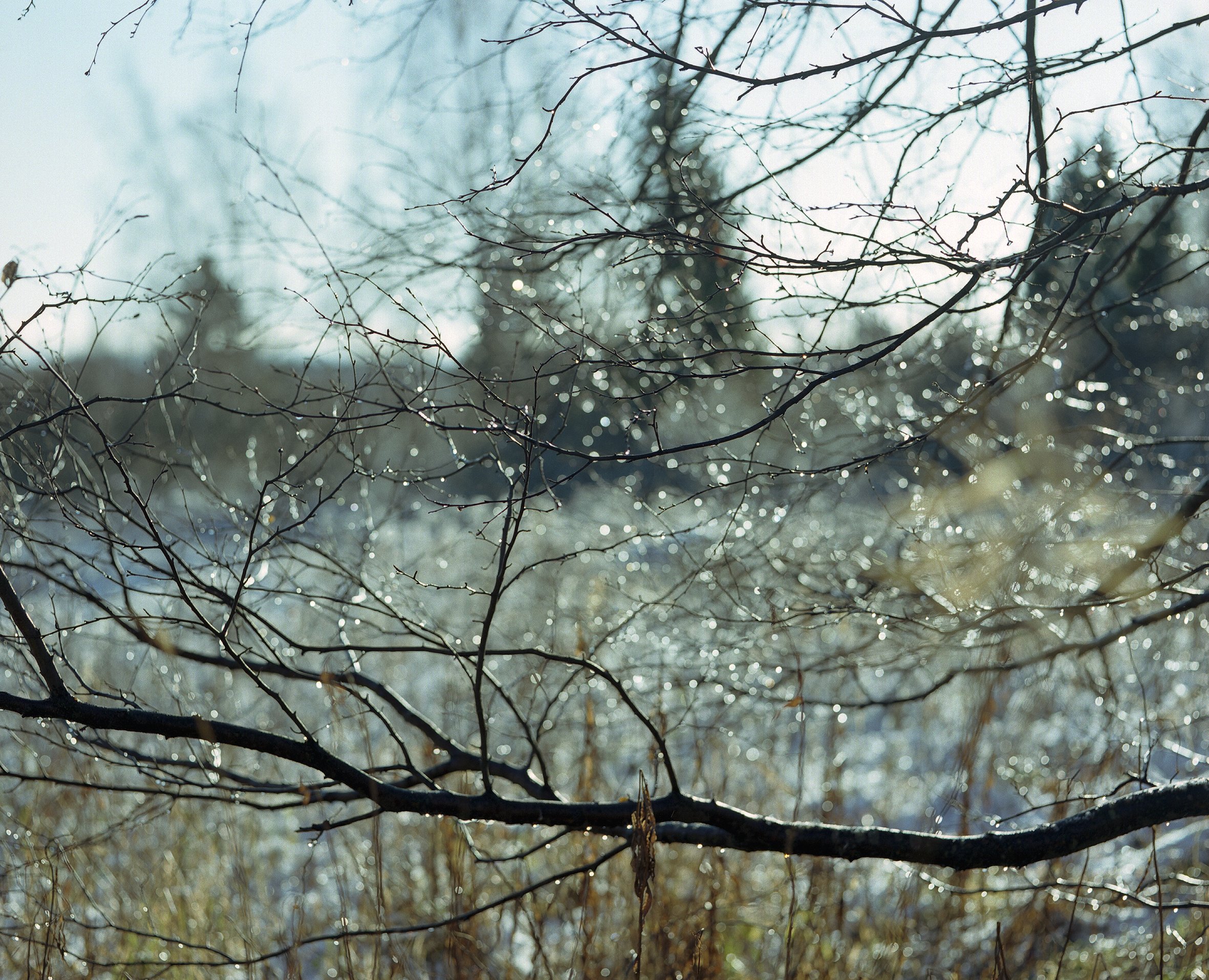 Syyspisarat, 2016
Analogue photograph.