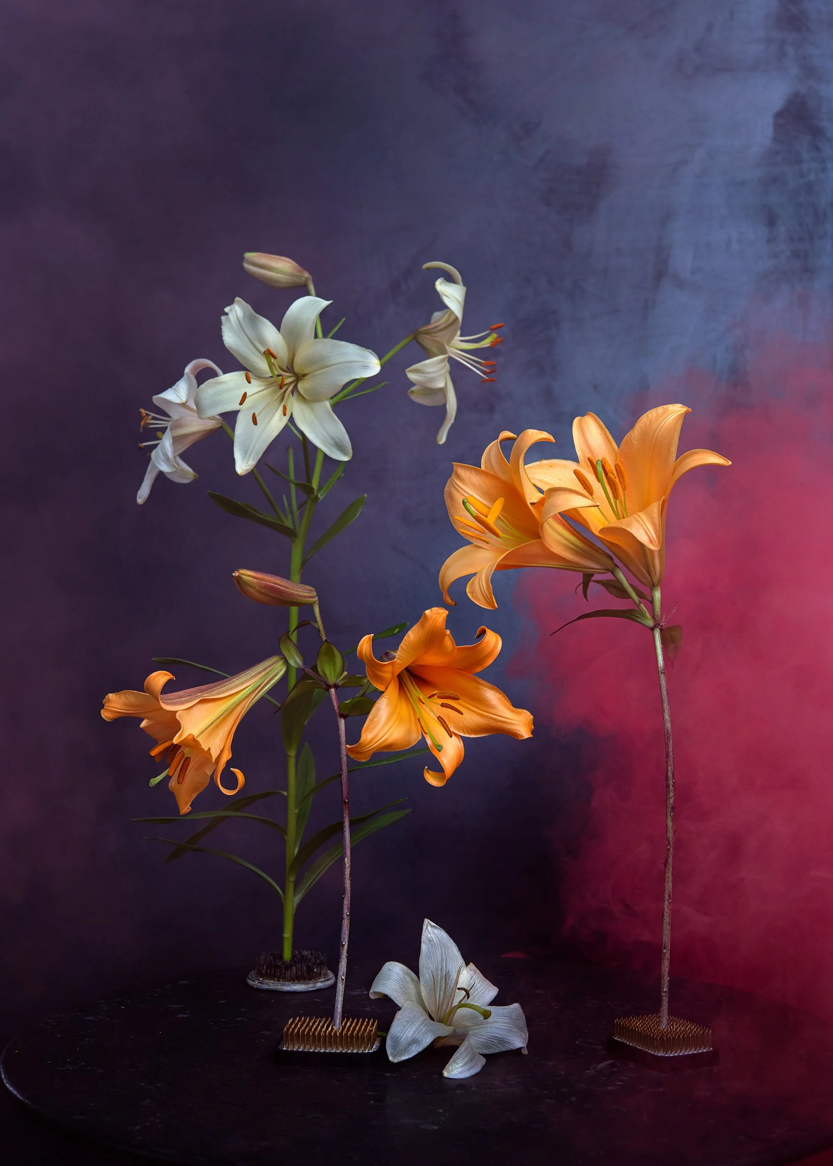 Lilies and Red Smoke, 2023 