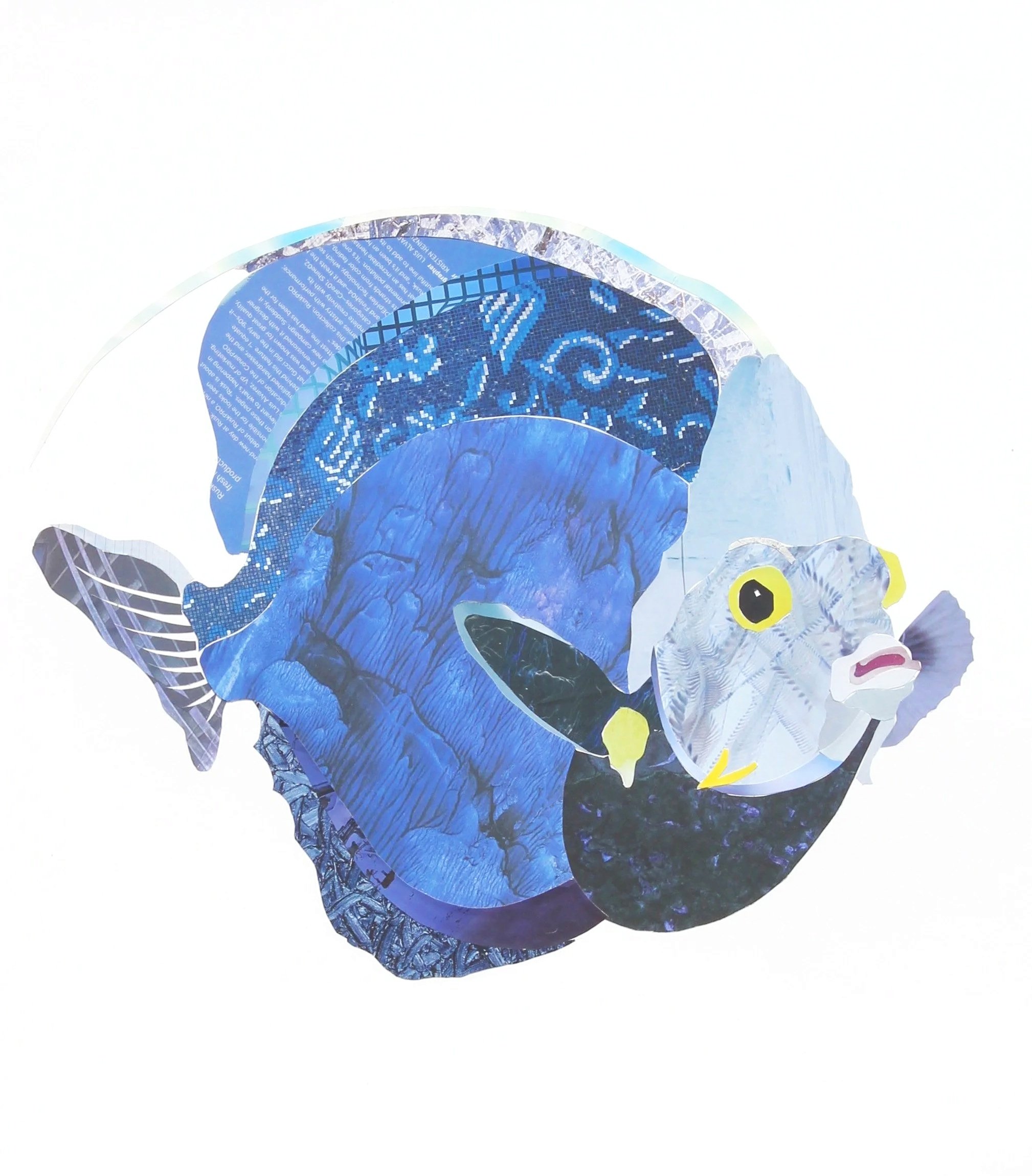 Blue Angel, cut paper