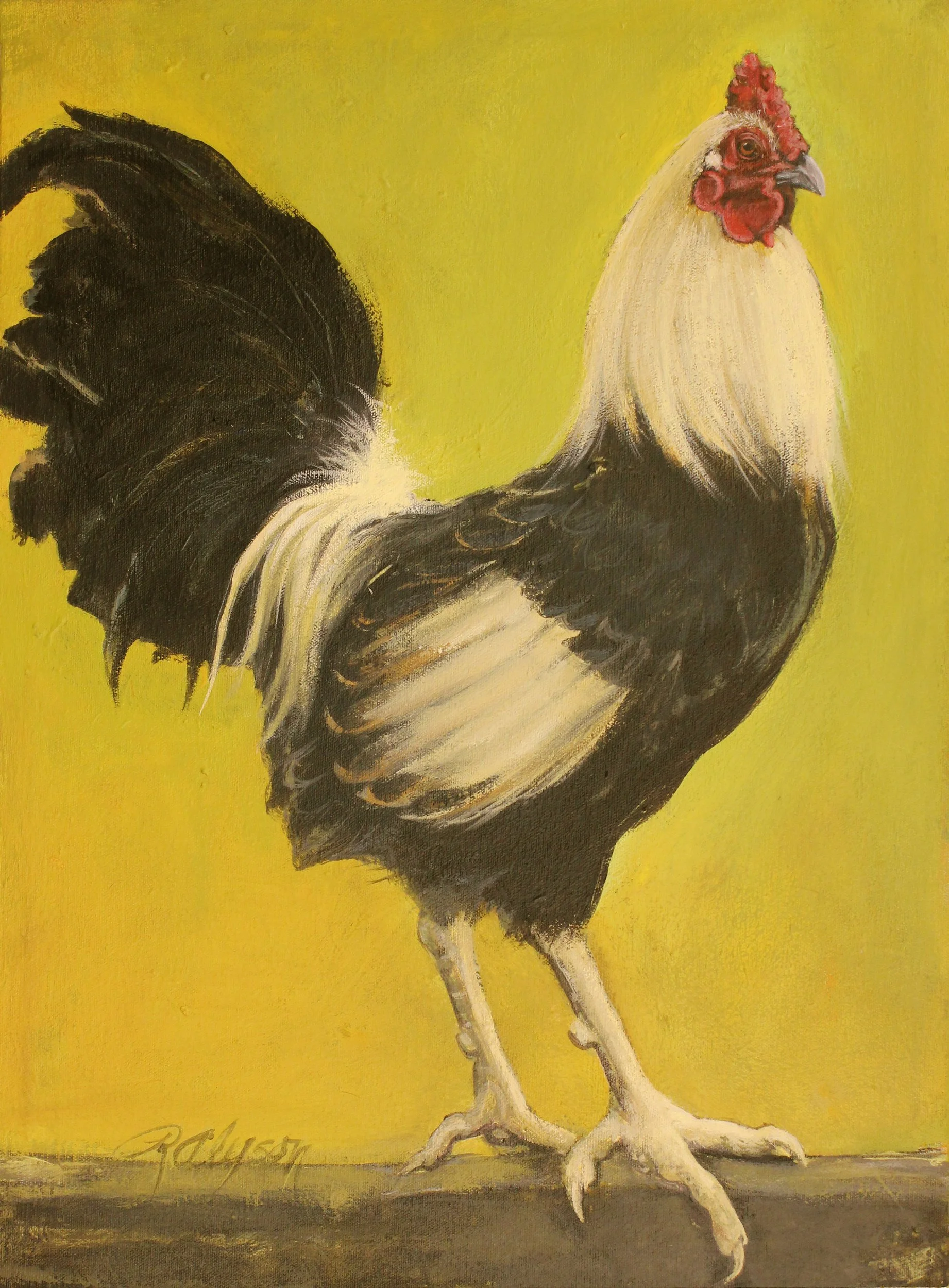 Young Rooster, acrylic on canvas