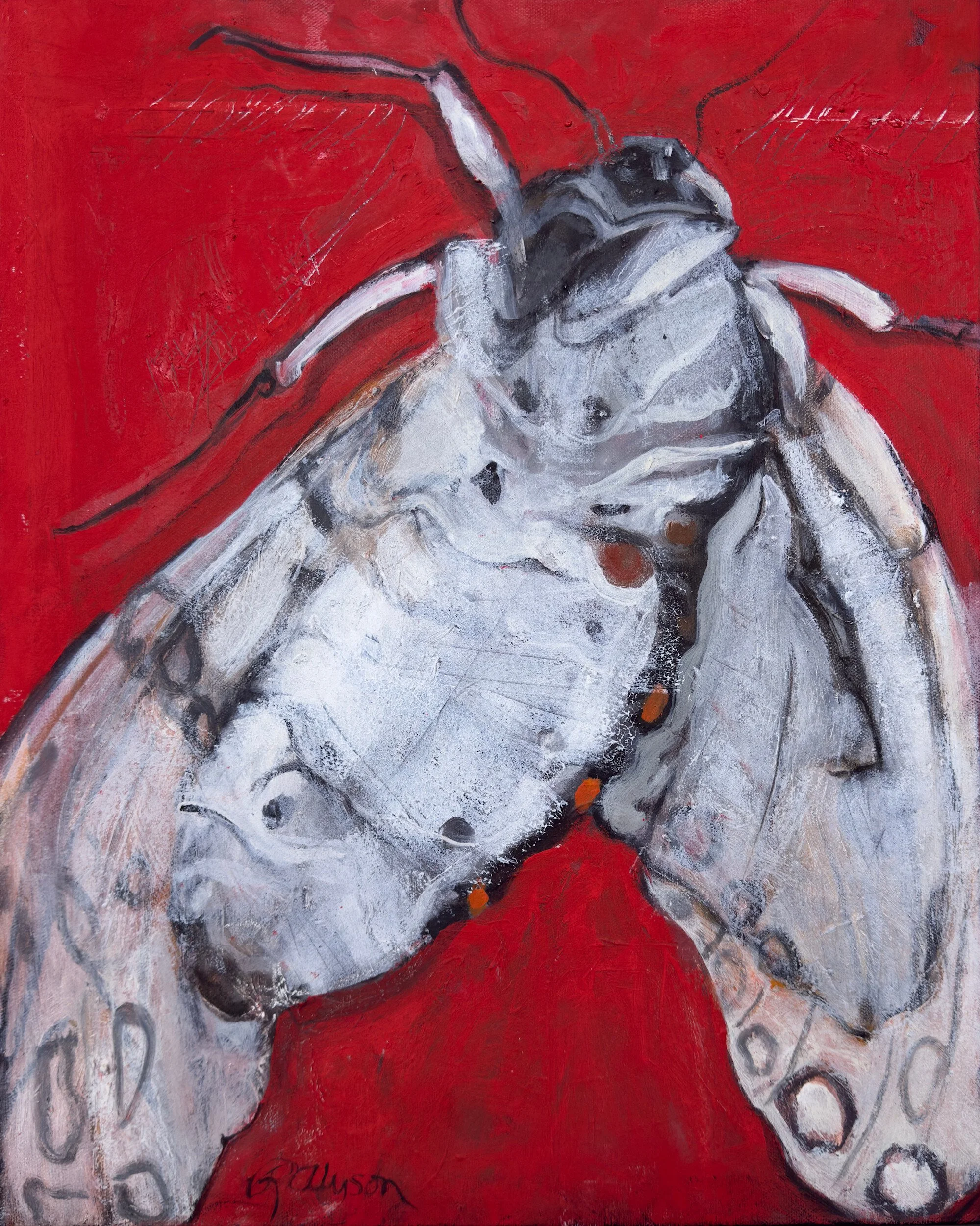 Red Moth I, acrylic on canvas