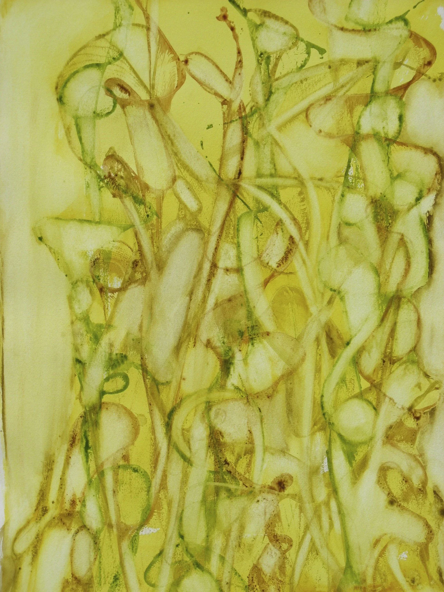 Wheat Strings, acrylic on paper, 30 x 22 in