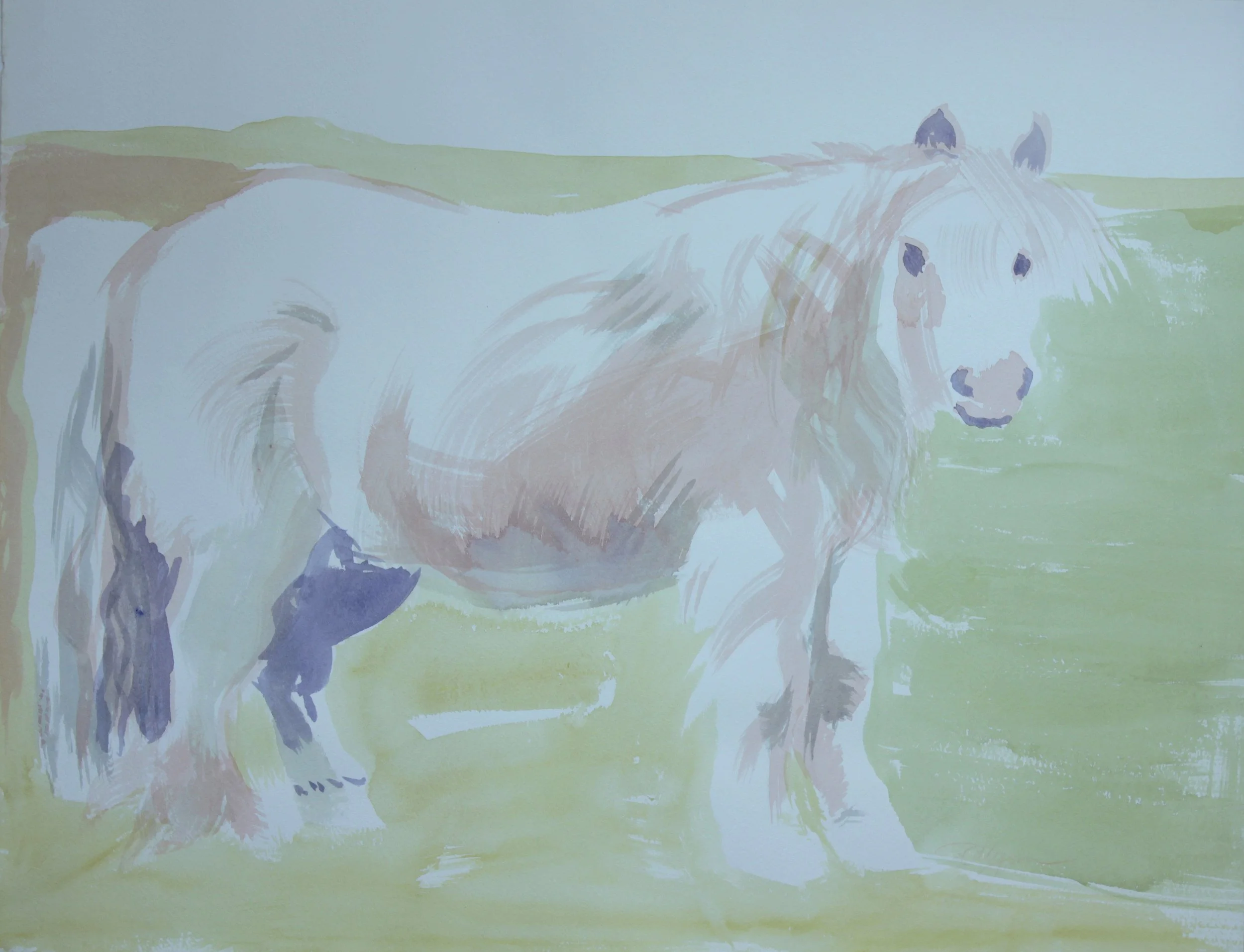 White Pony, acrylic on canvas