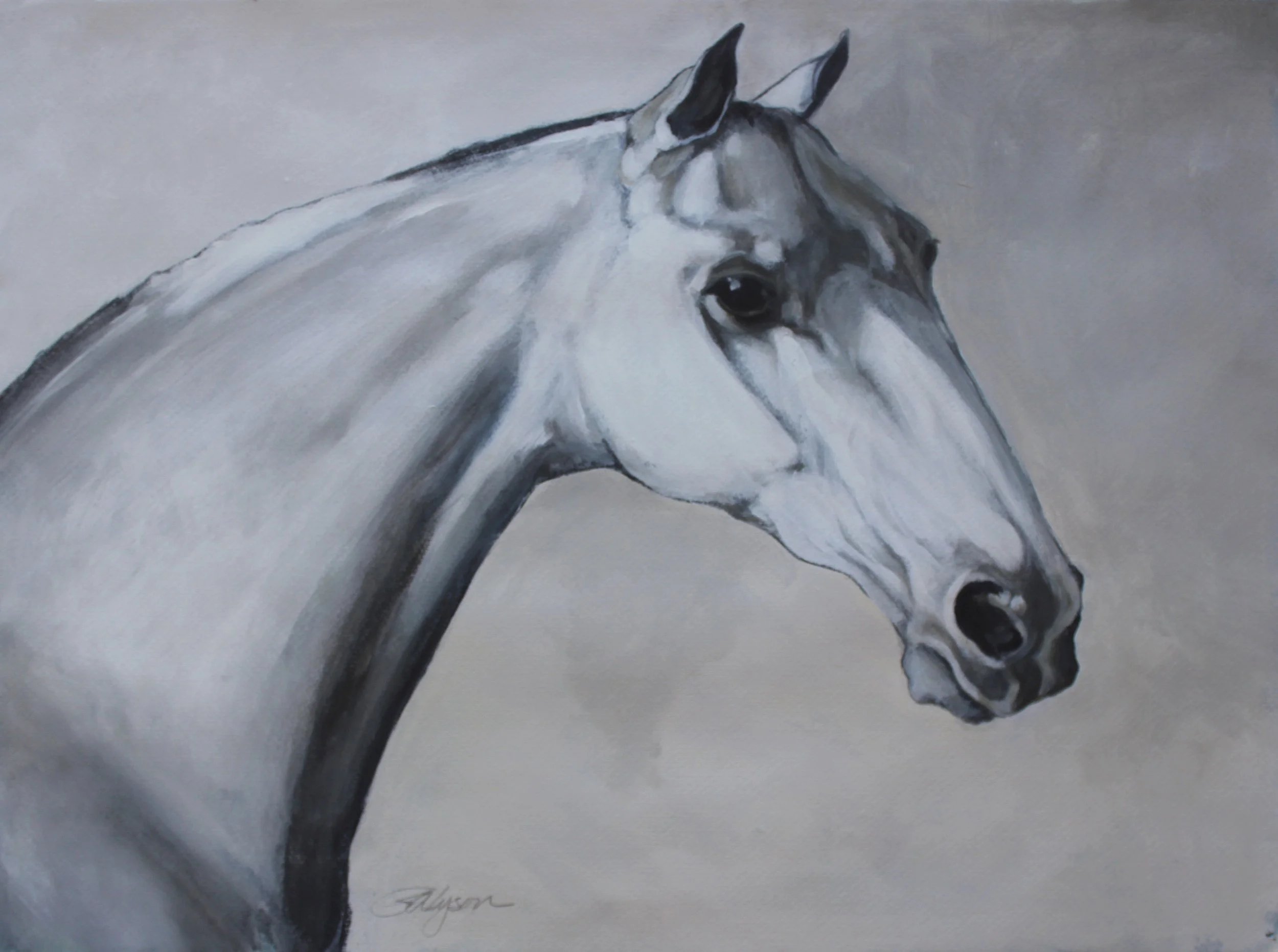 Grey Horse, acrylic on paper