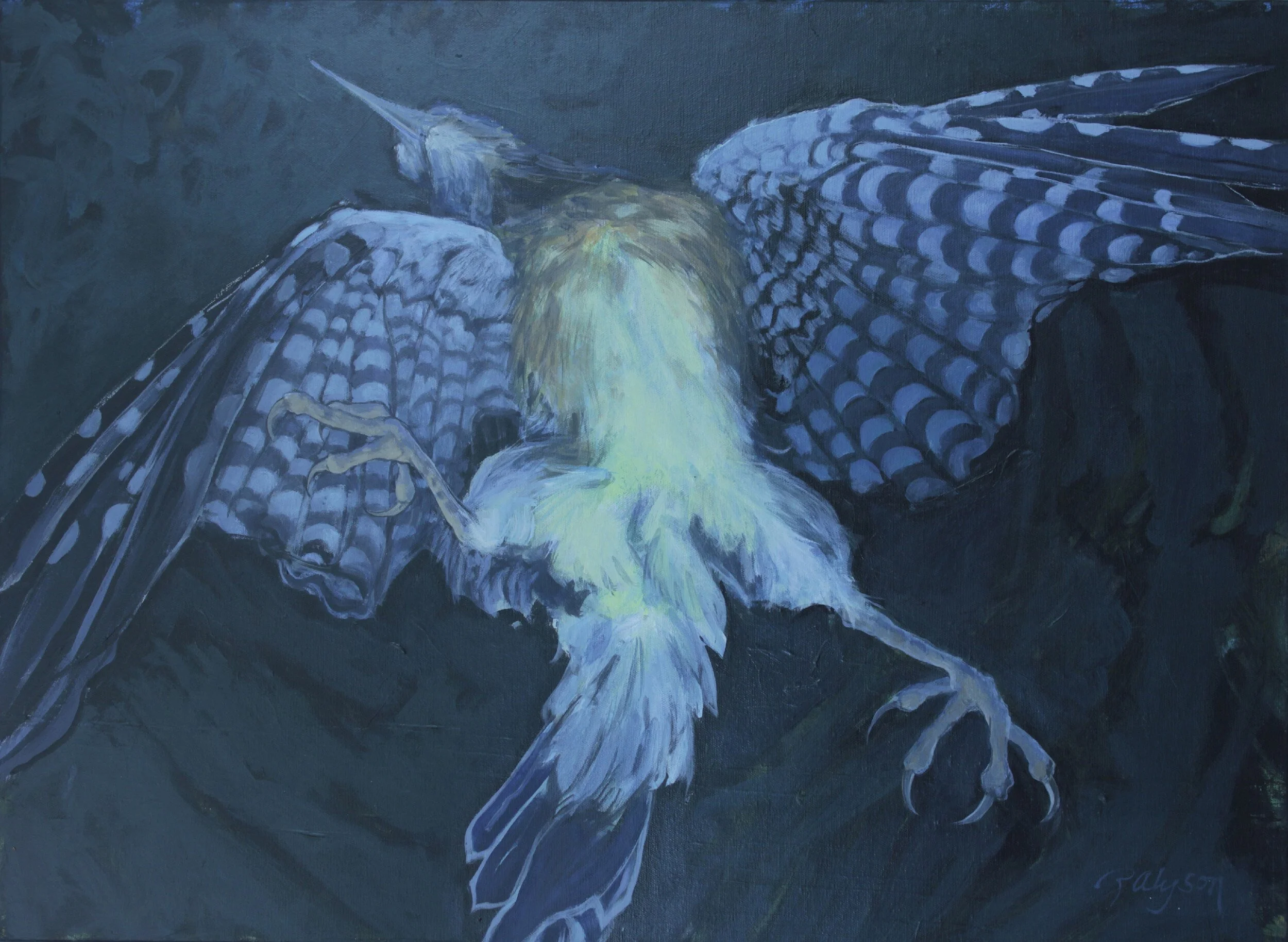 Falling Jay, acrylic on canvas