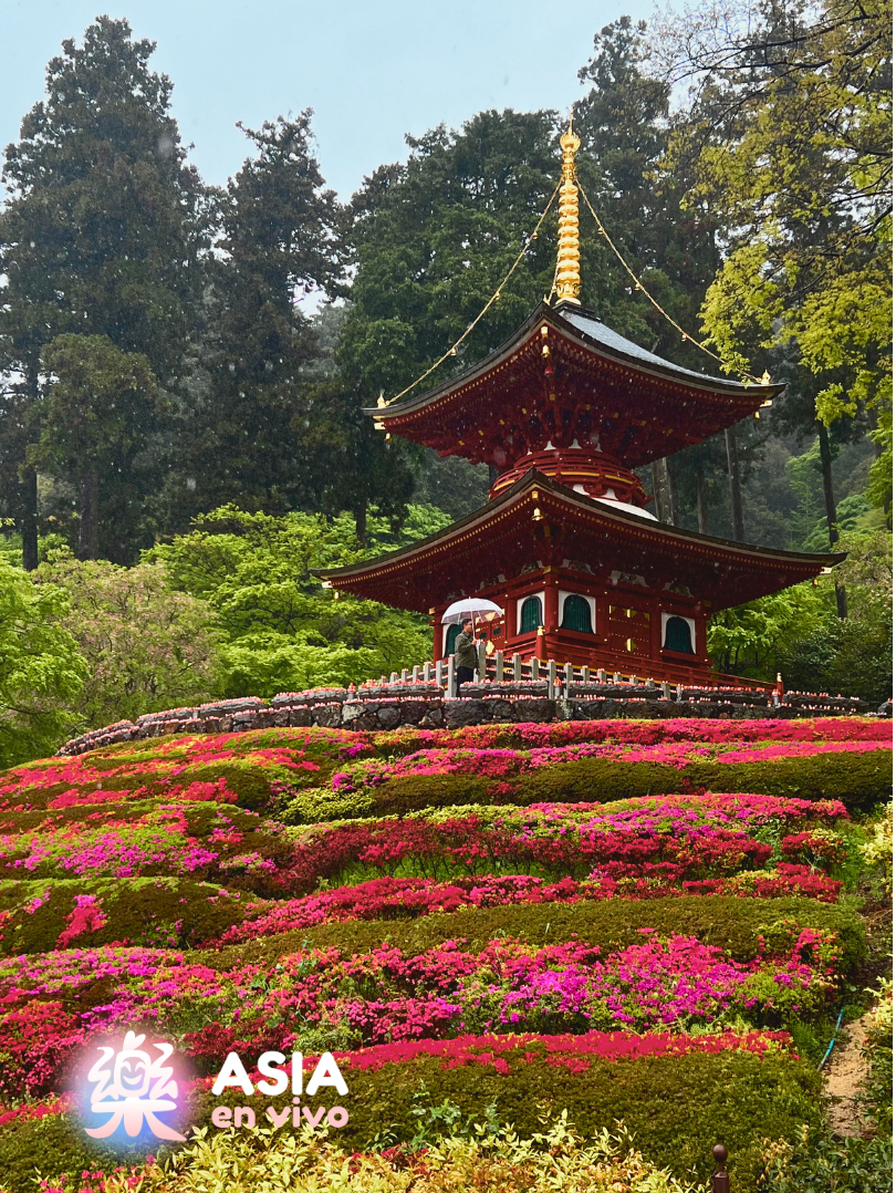 Jale a Katsuō-ji: El Templo de la Victoria y los Miles de Daruma en Osaka