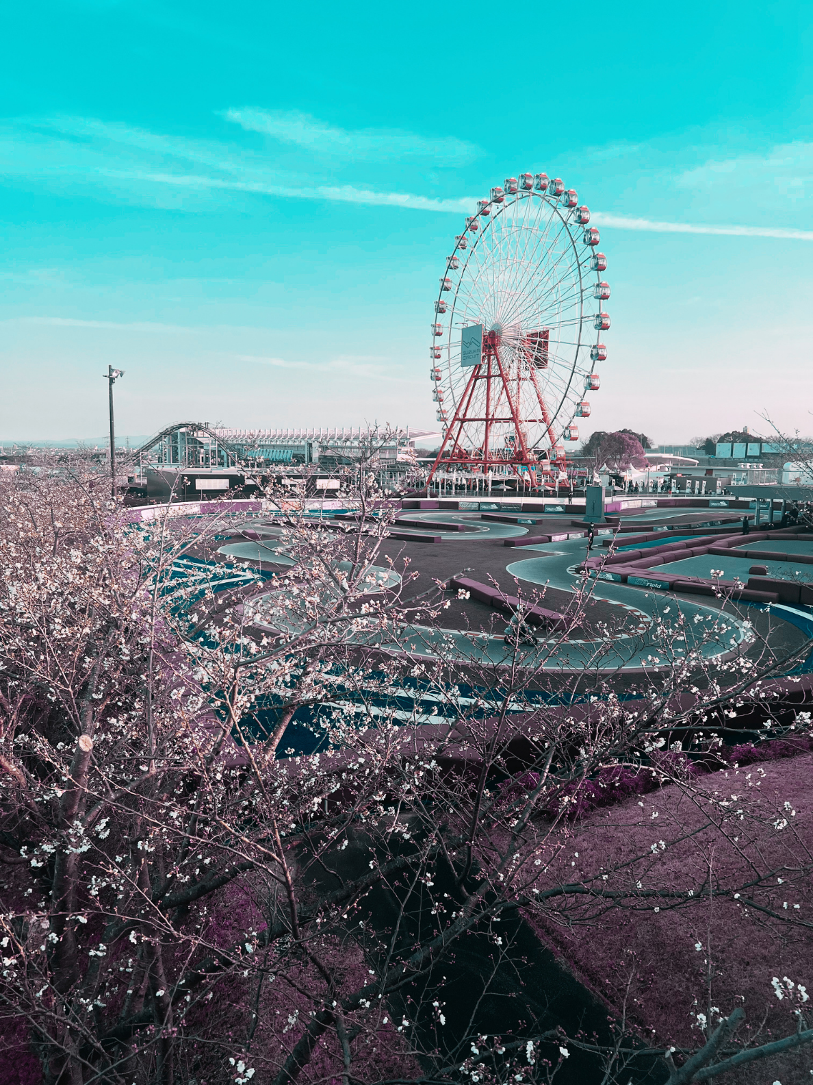 Una feria con una noria gigante, áreas de juegos y árboles en flor, en una ciudad con cielo despejado.