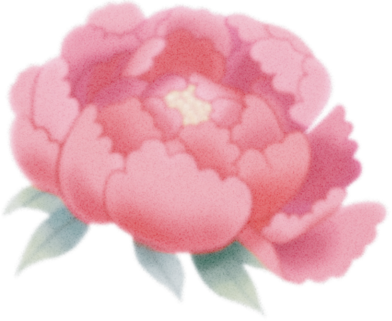 Una ilustración de un rosal con una rosa grande y rosada formando una flor en el centro y varias hojas verdes a su alrededor.