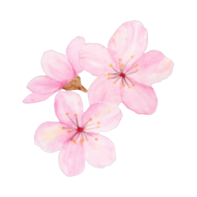 Tres flores de color rosa claro