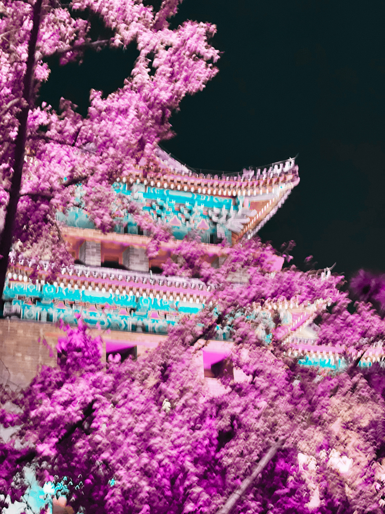Pagoda tradicional con techos decorativos en colores pastel, rodeada de ramas de árbol con flores púrpuras en flor, en noche clara.