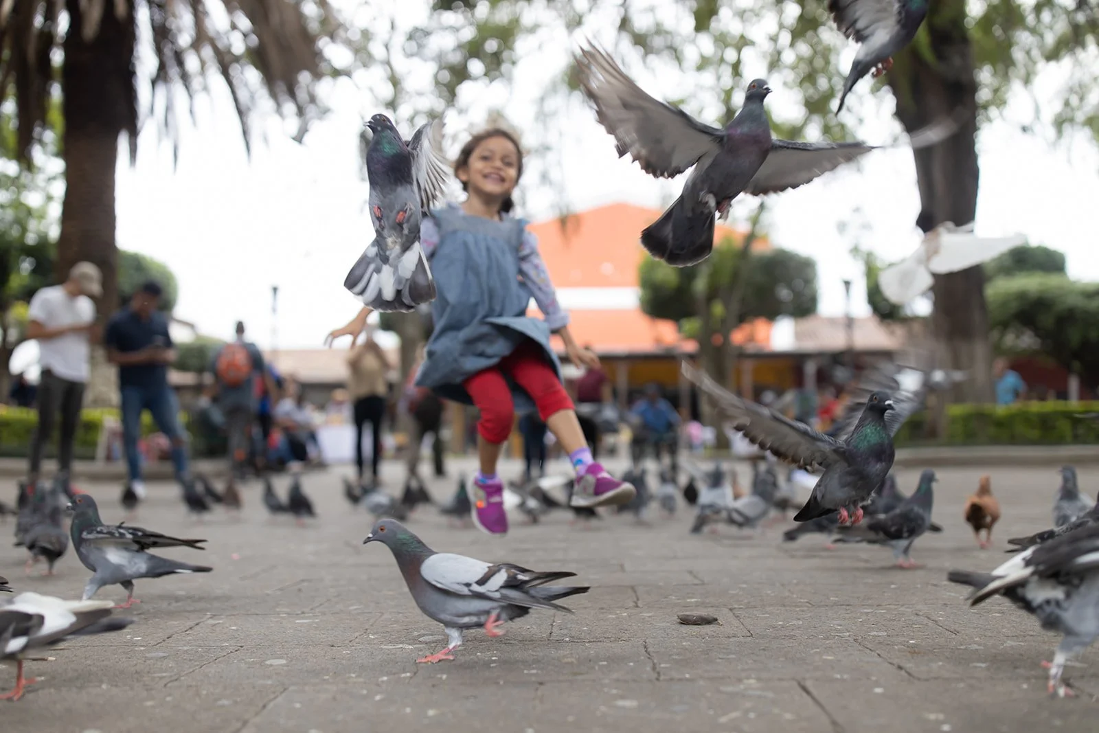 Young girl jumping among pigeons in a park, with other people and trees in the background.