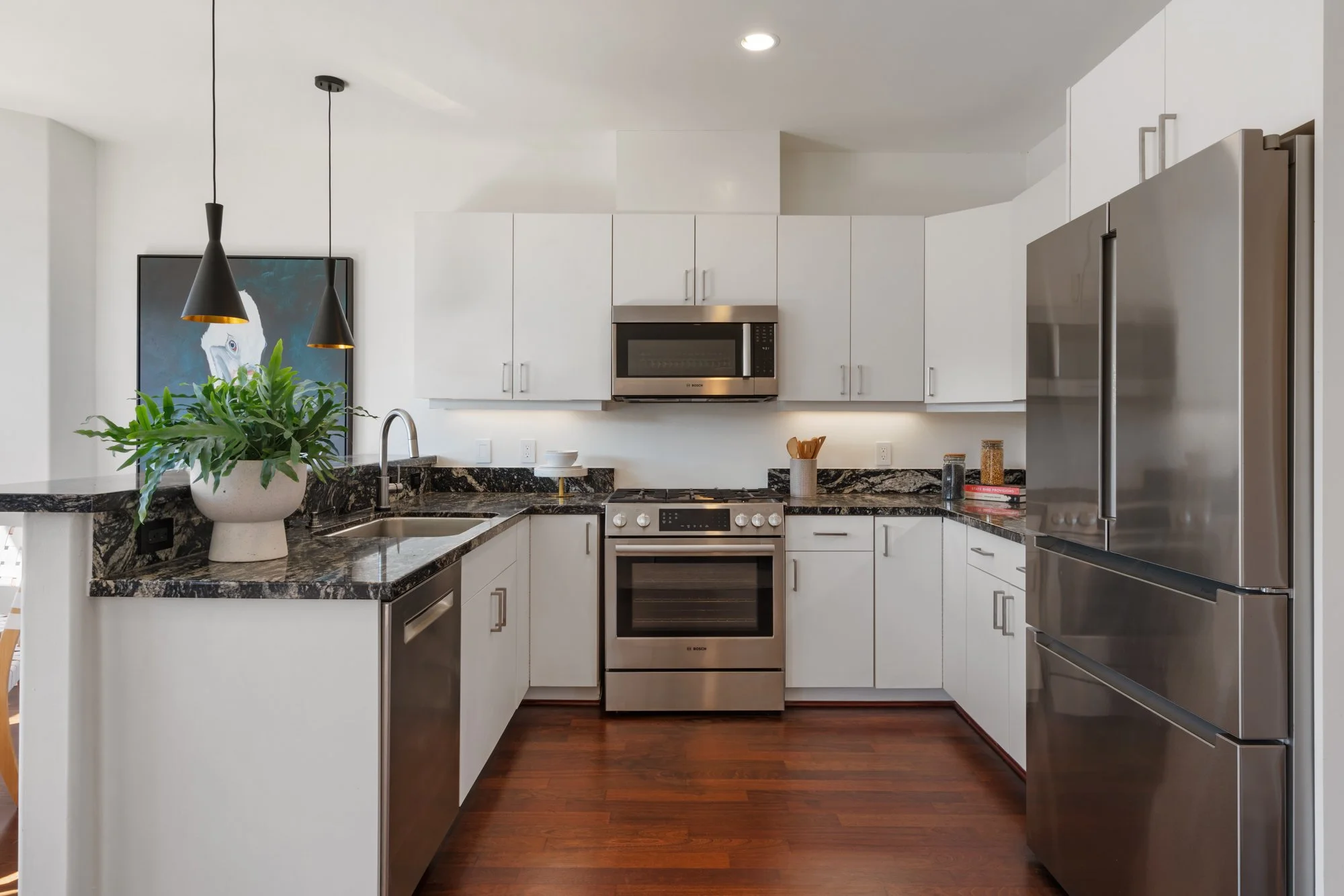 Modern kitchen with white cabinets, stainless steel appliances including a microwave, oven, and refrigerator, dark granite countertops, a plant on the counter, and a framed animal artwork on the wall.