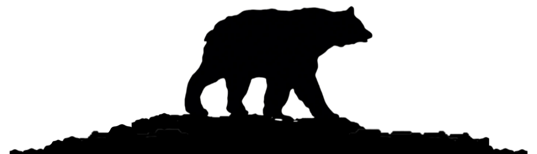 Rug-Be Bears