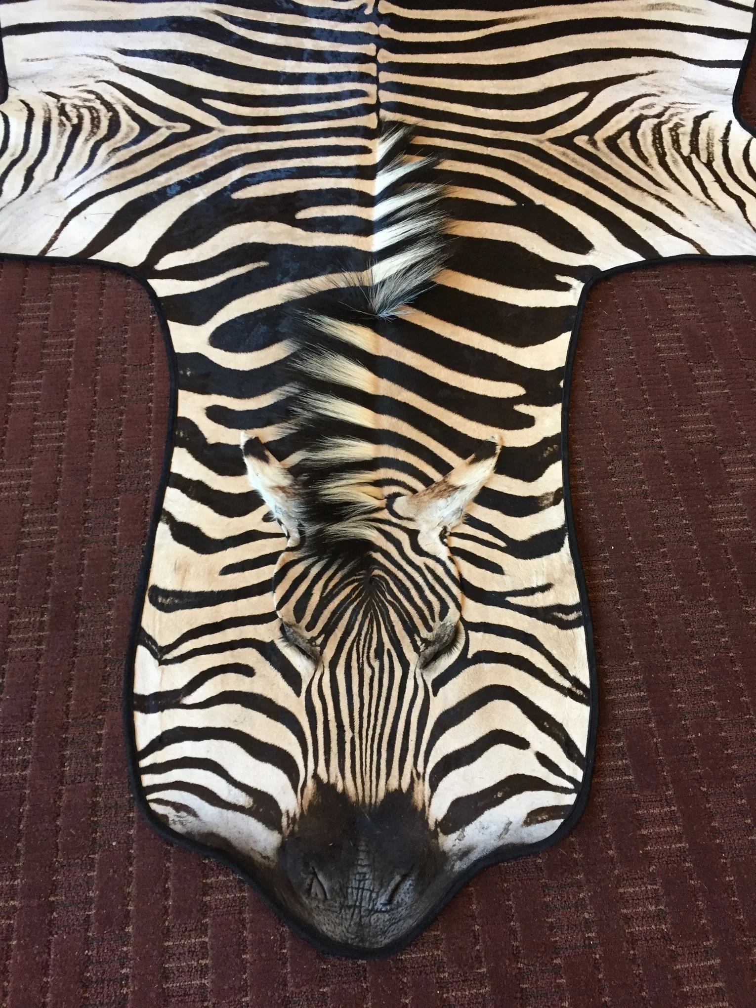 Standard zebra flat rug with flat face and suede binding.