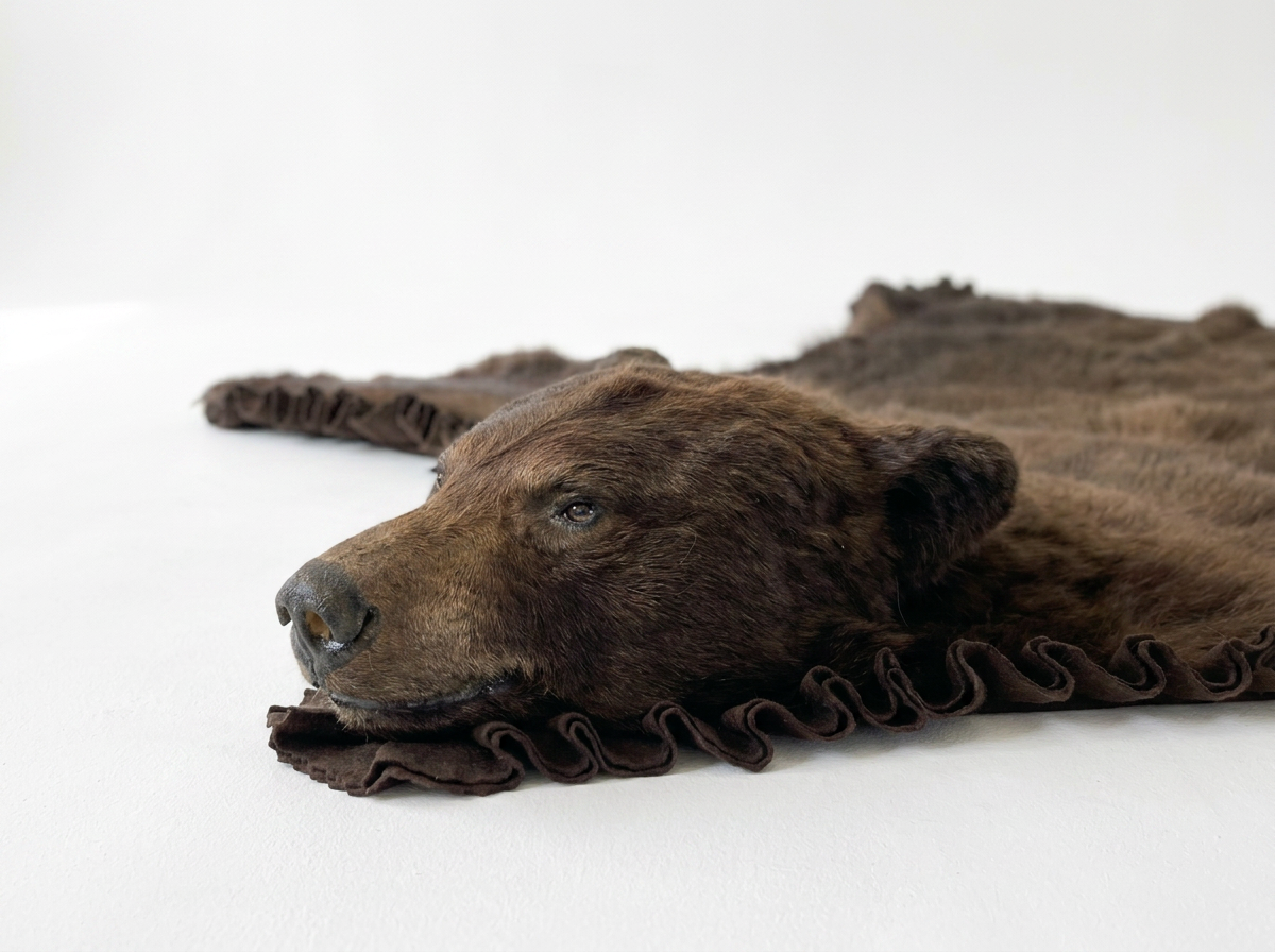 A closed mouth black bear rug, show casing continuous pleats.