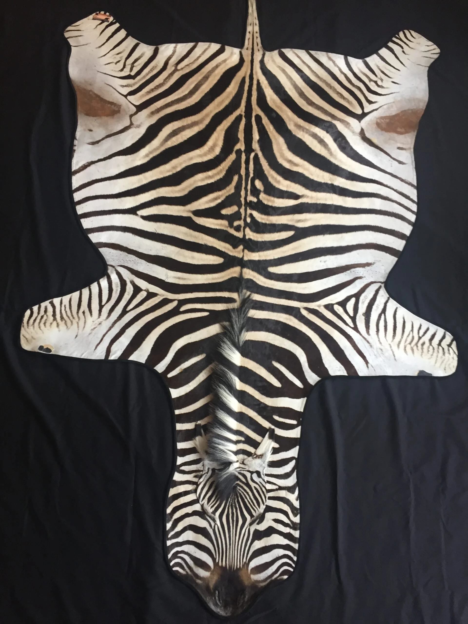 Standard zebra flat rug with flat face and suede binding.