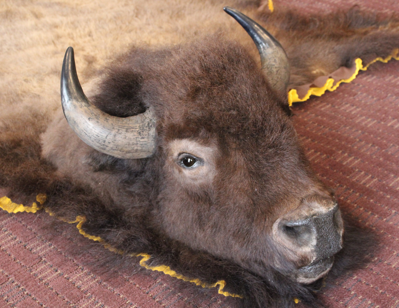 Standard rug. 