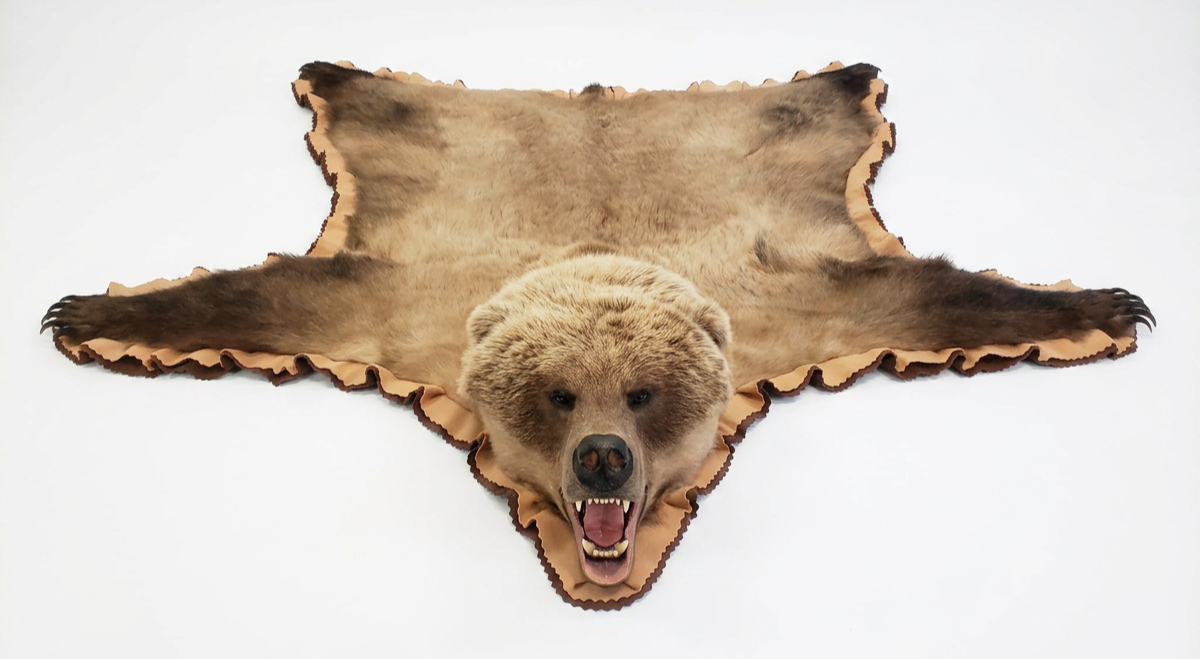 Mounted bear head sculpture on a leather skin background.