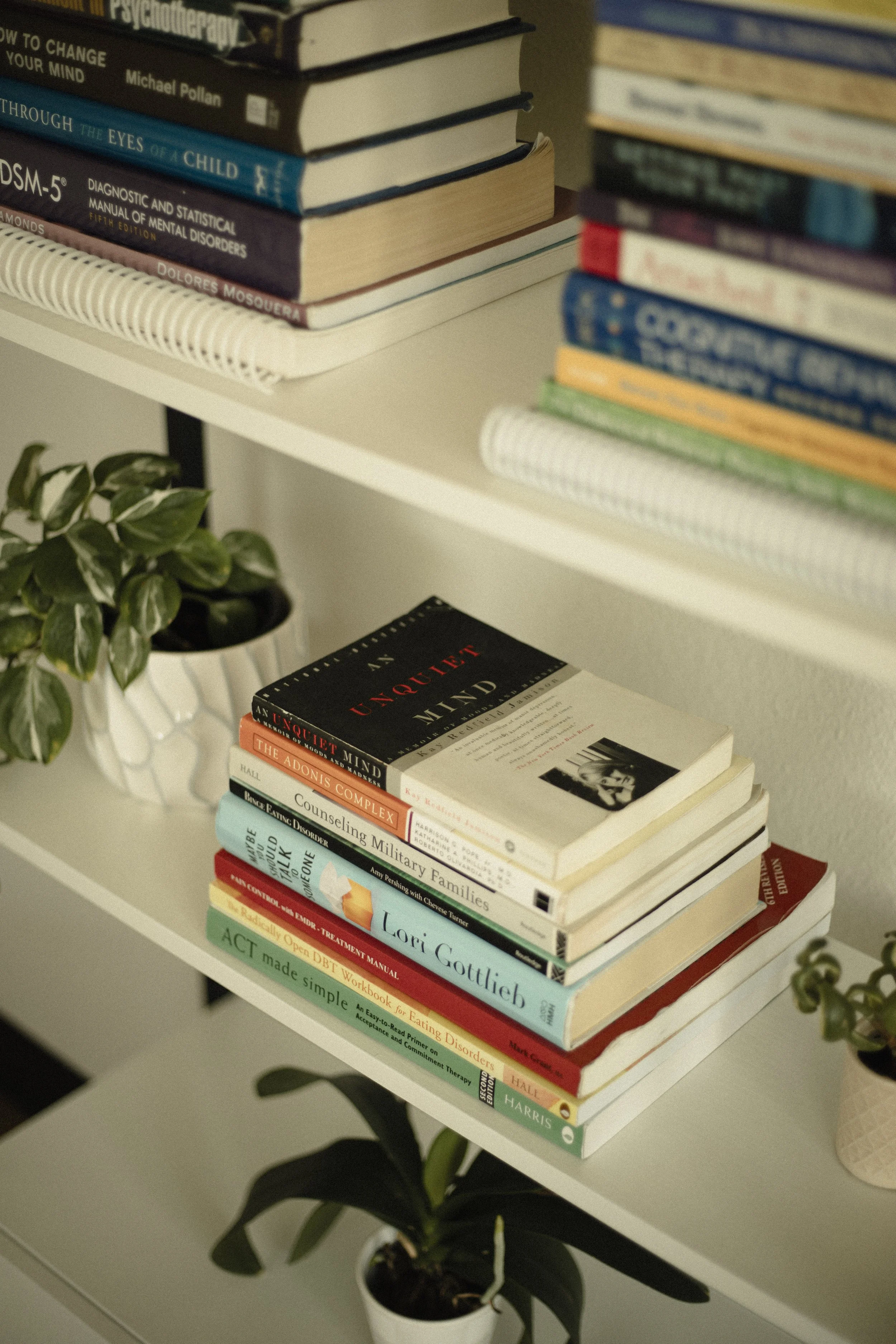 A white bookshelf with two shelves holding a collection of books and a potted plant with dark green leaves. The books are of various colors and sizes, some stacked horizontally and others vertically.