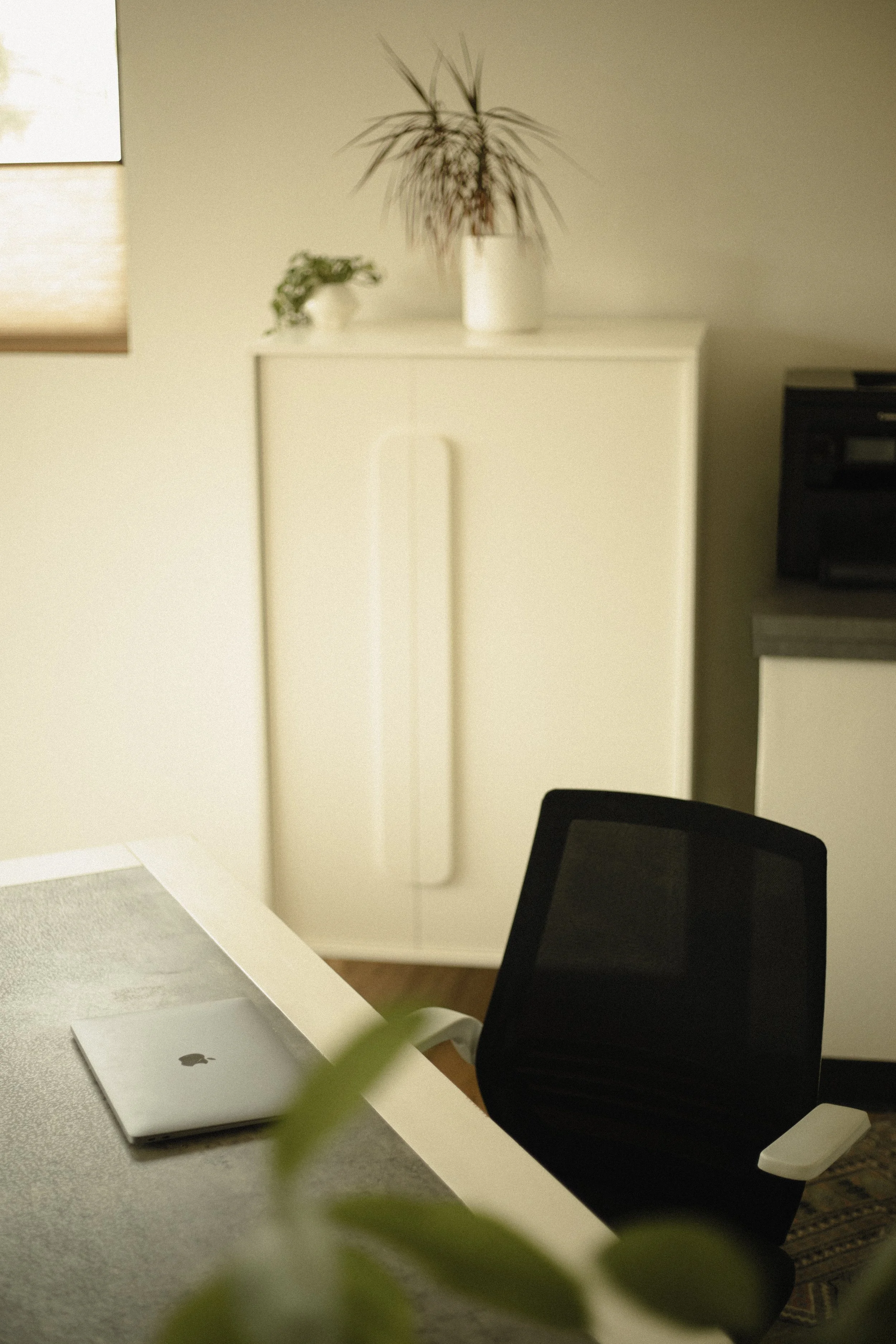 A workspace with a laptop, a black swivel chair, a white desk, a small plant, and in the background a white cabinet with a larger potted plant on top.