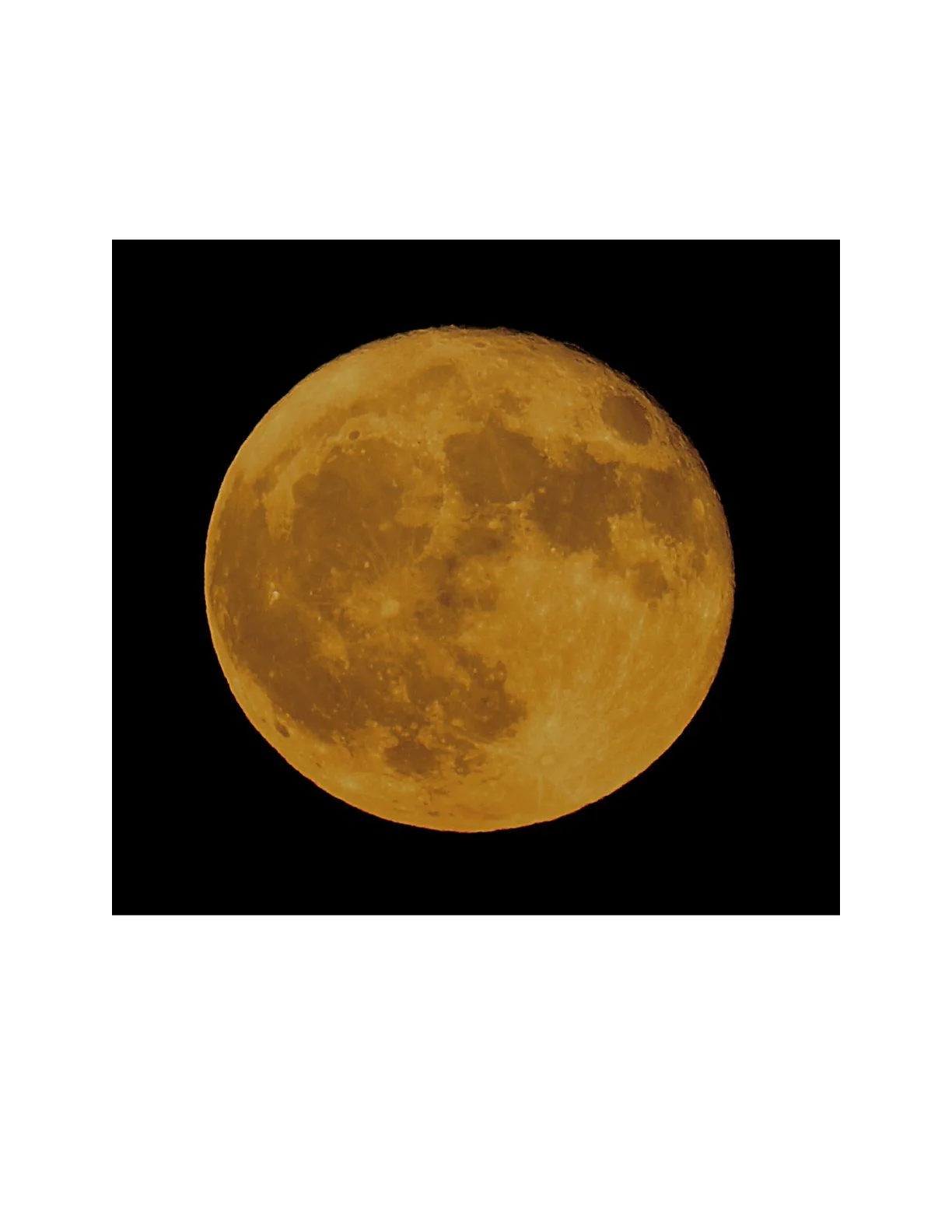 Full Moon Walk &amp; Talk  