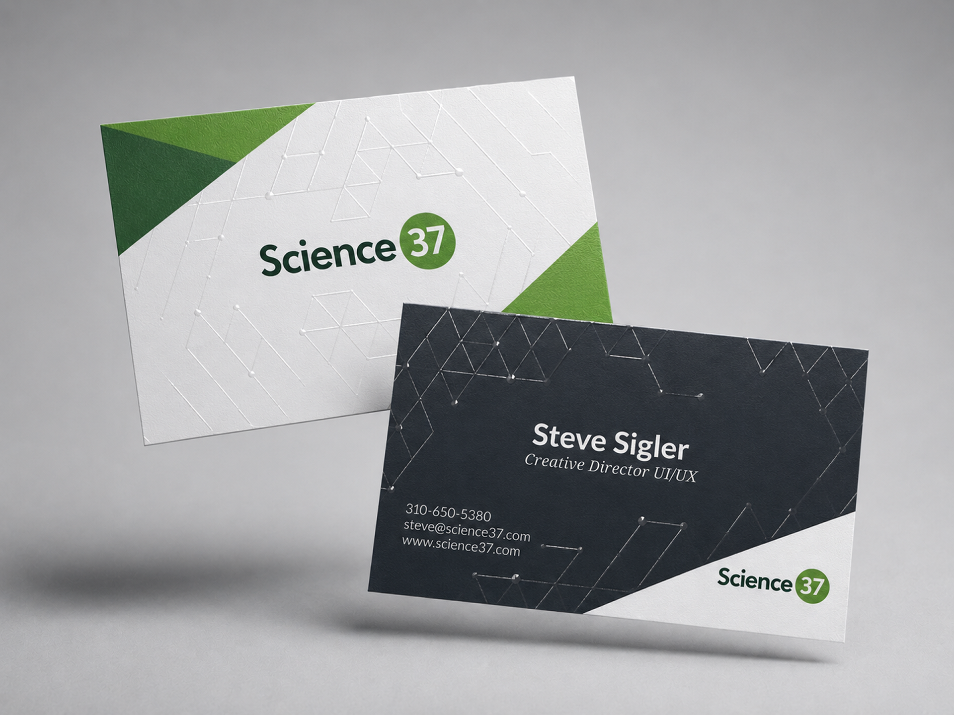 s37-businesscard.png