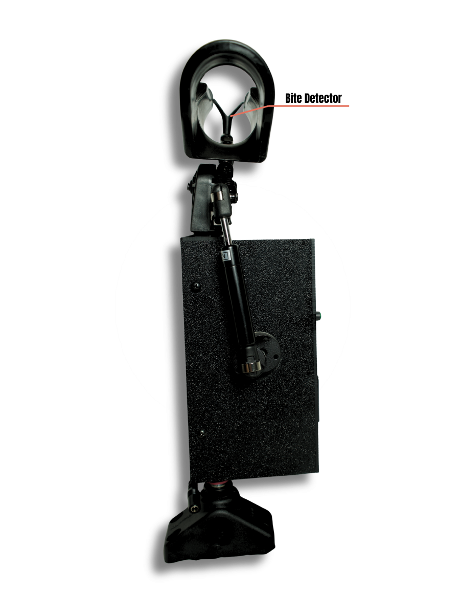 Jiggleon Back Product Display Photo.png