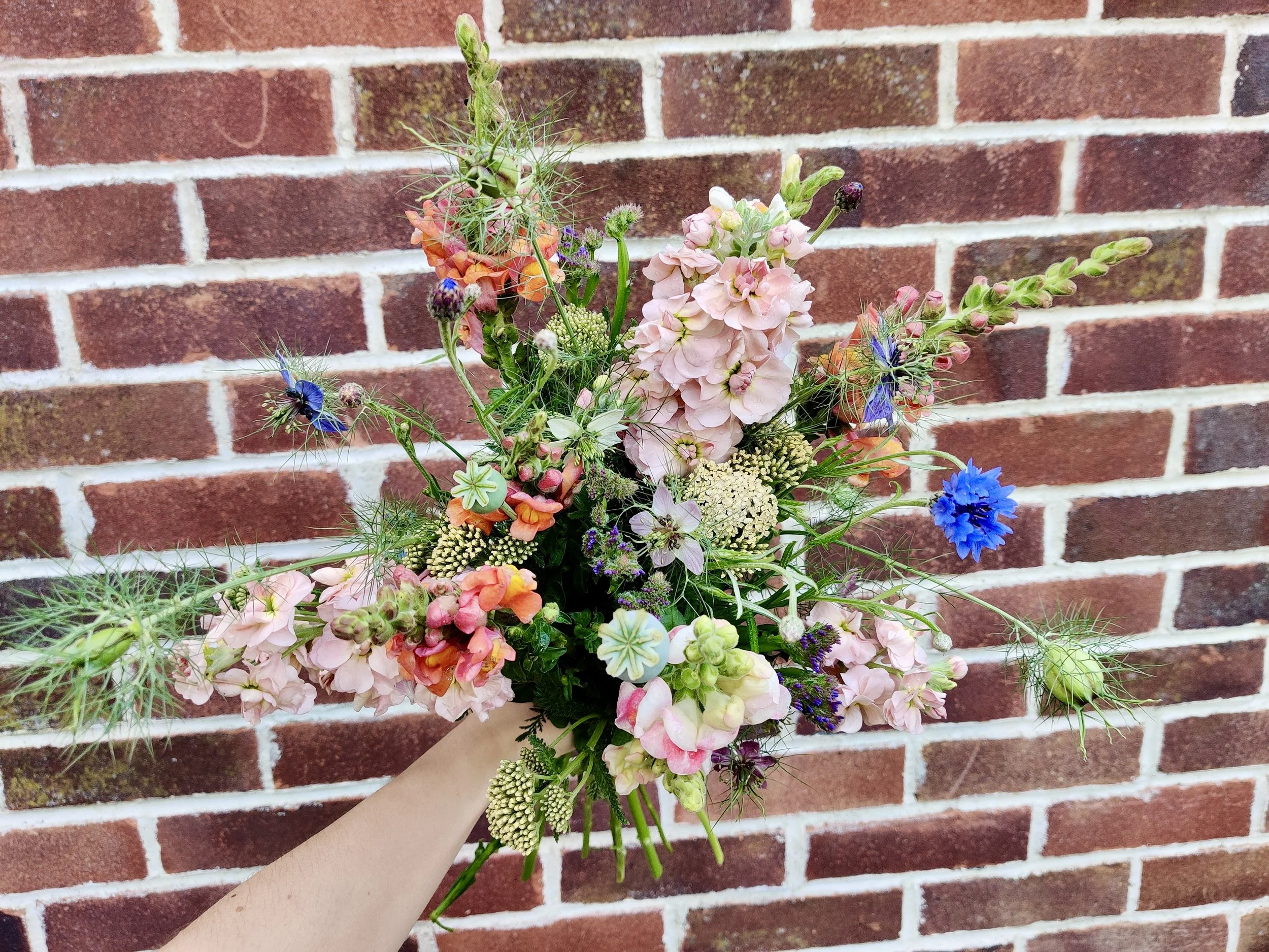 Subscription Flowers - Spring 2027
